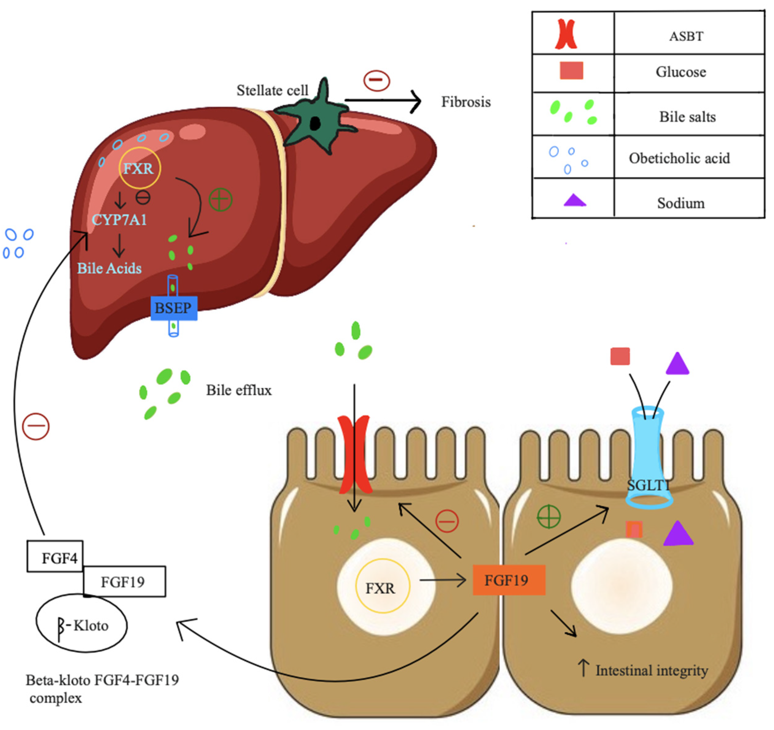 Biomedicines 12 02229 g005