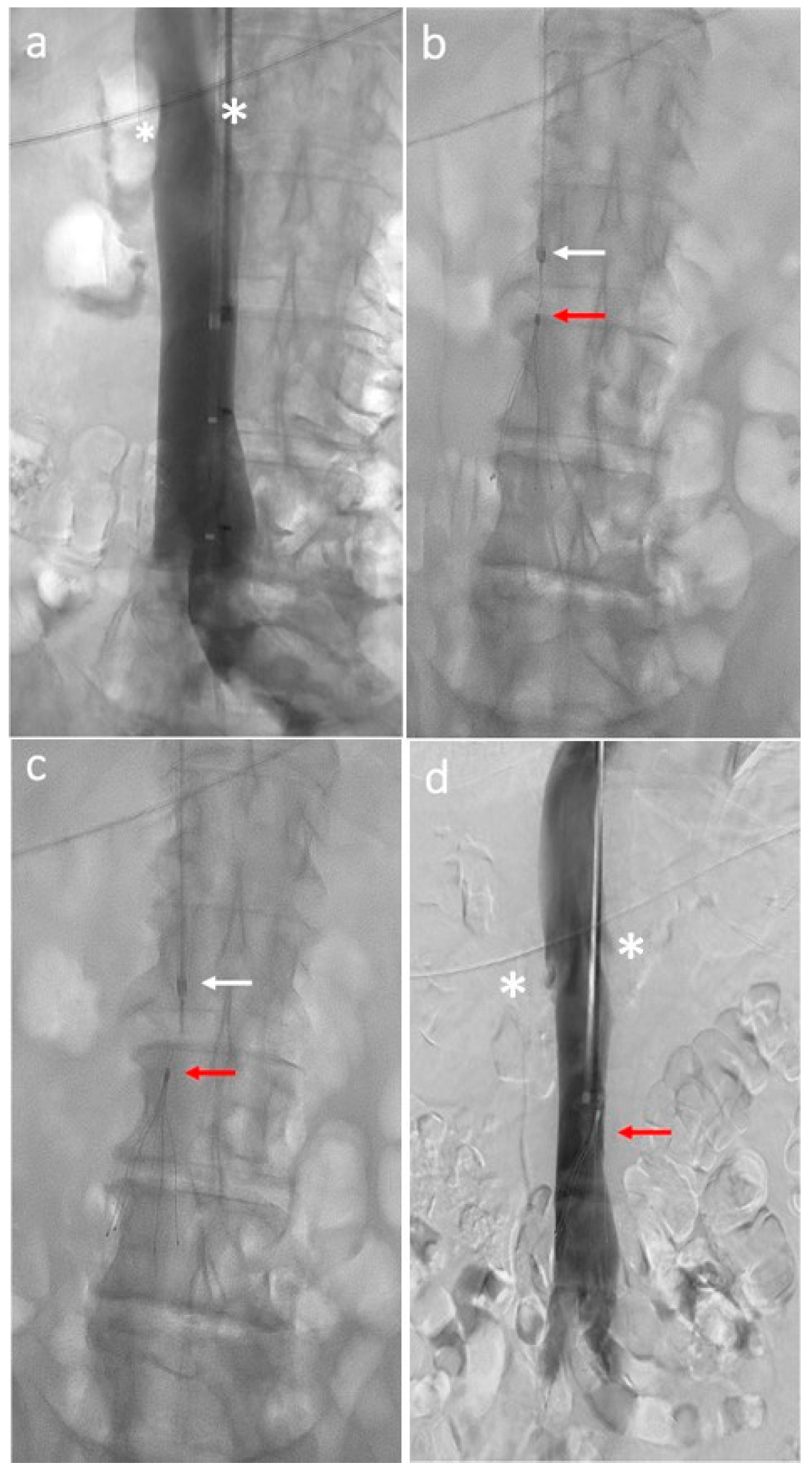 Biomedicines 12 02230 g001 Biomedicines 12 02230 g001