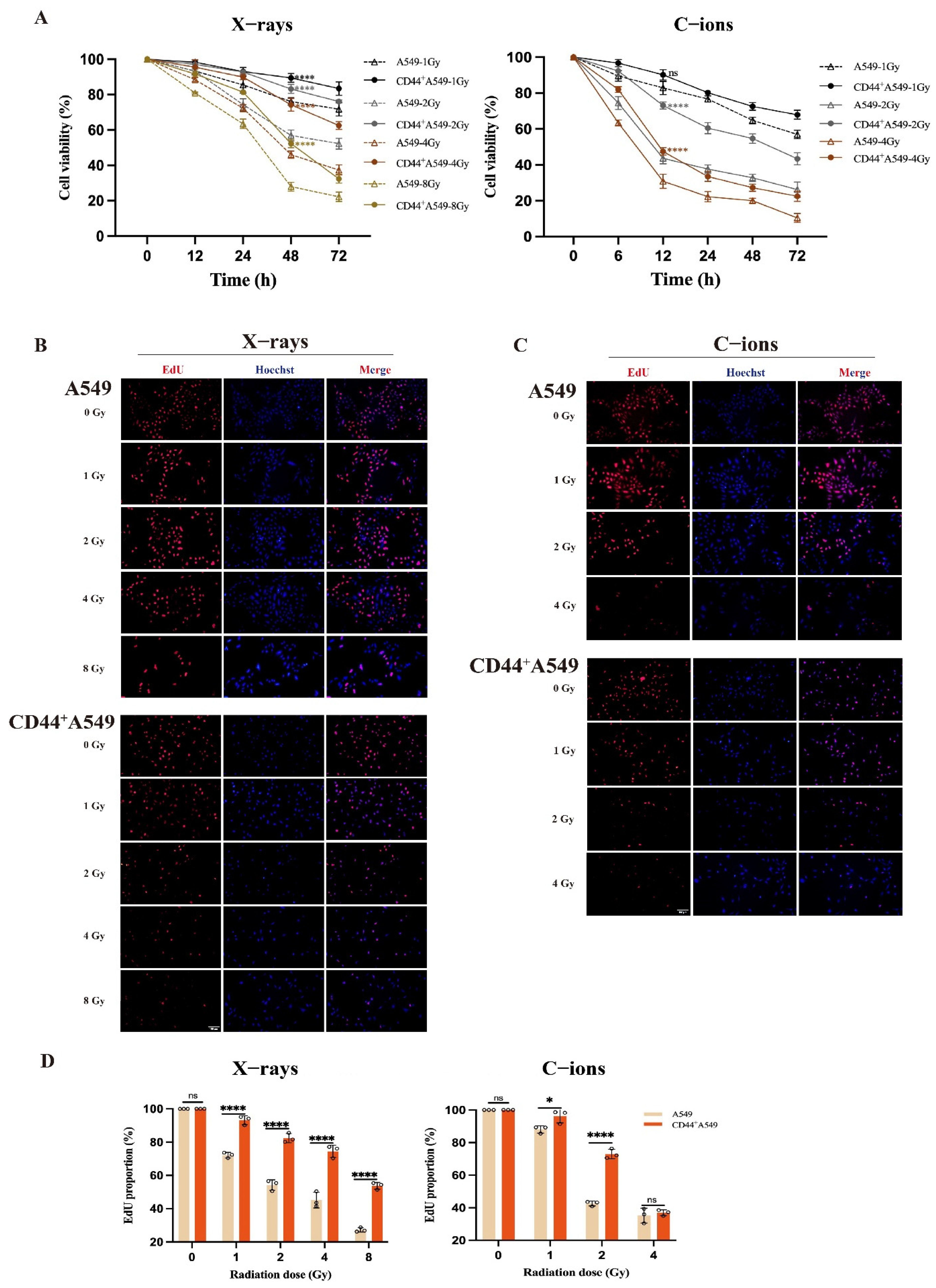 Biomedicines 12 02231 g002