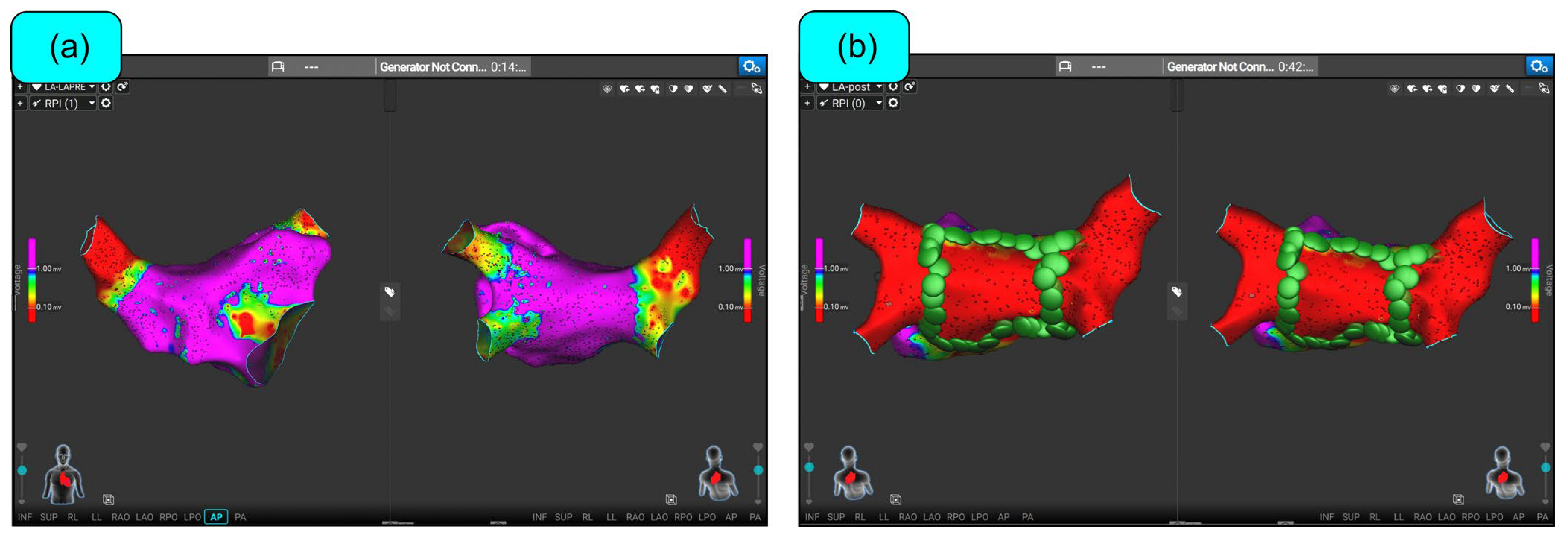 Biomedicines 12 02232 g005