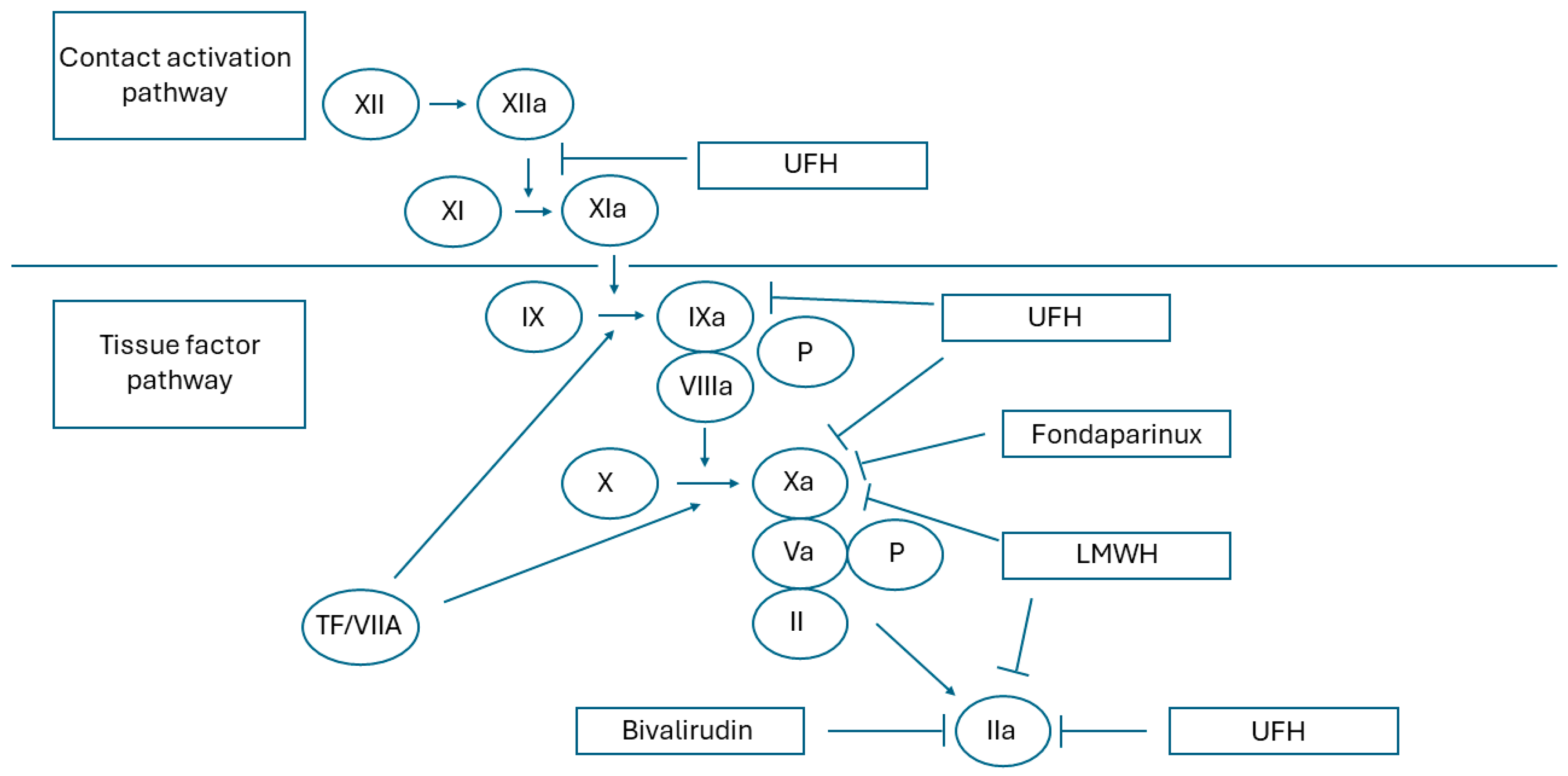 Biomedicines 12 02242 g002