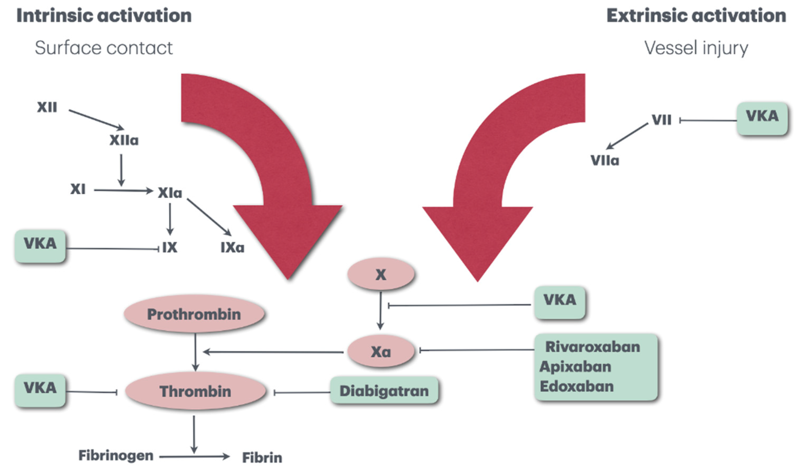 Biomedicines 12 02242 g003