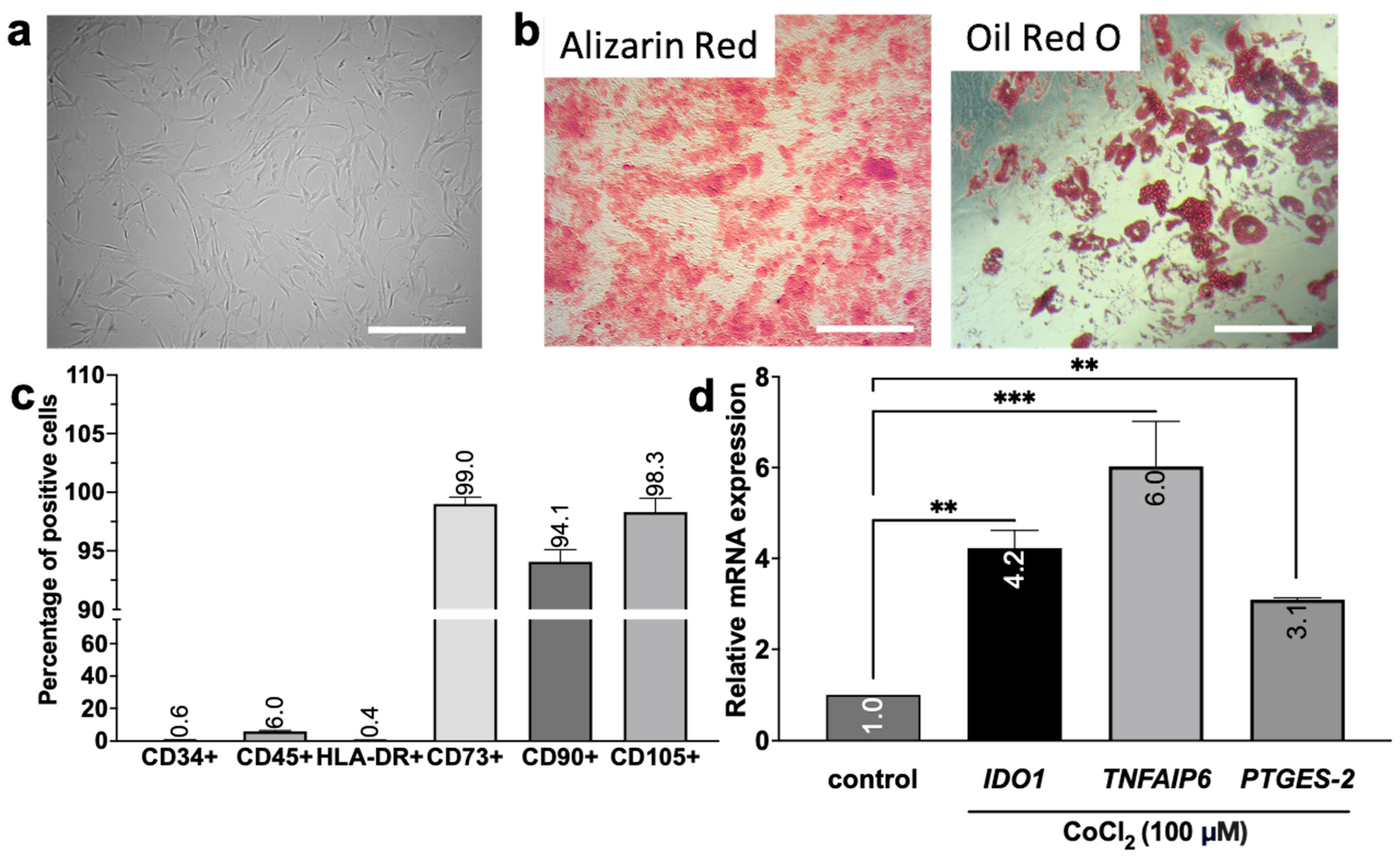Biomedicines 12 02243 g002