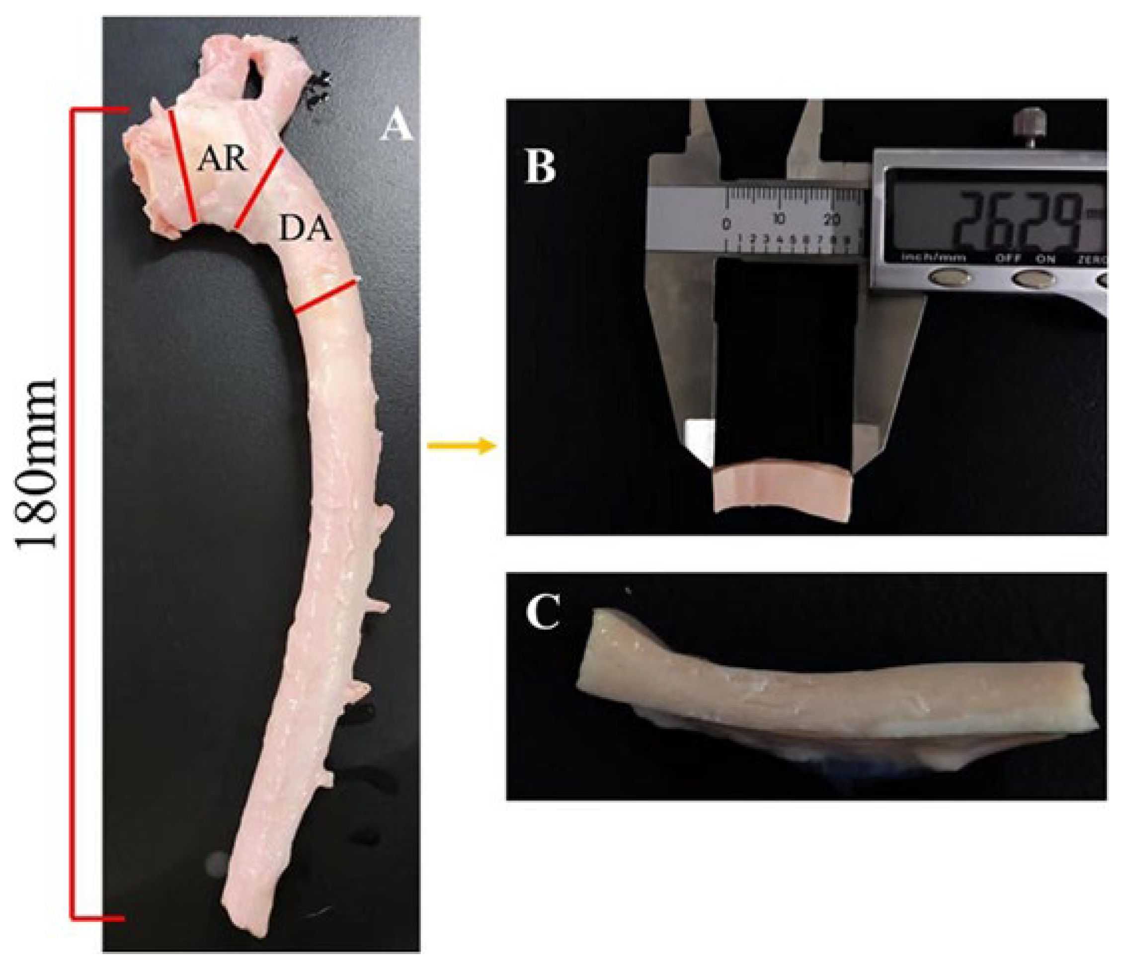 Biomedicines 12 02246 g001