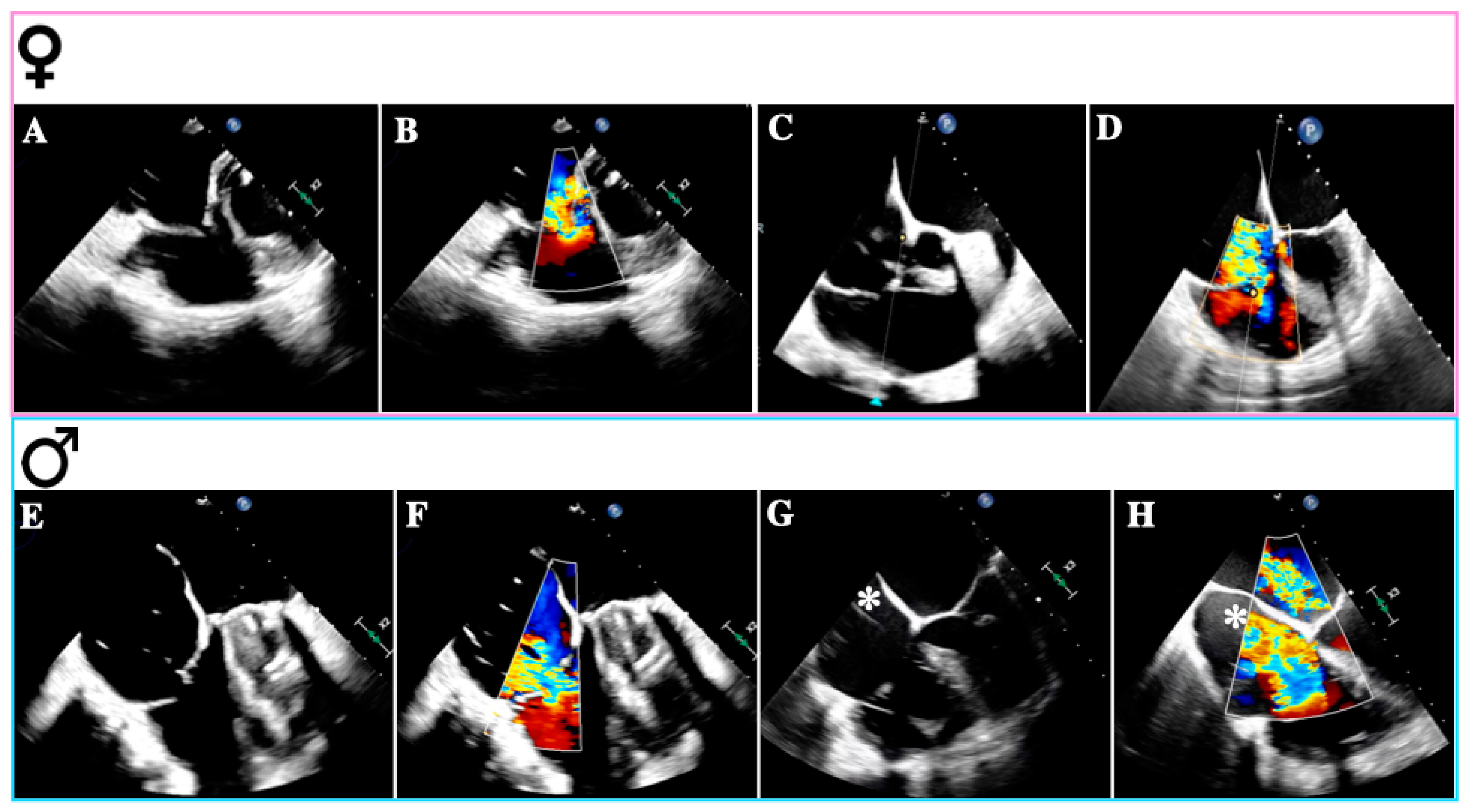 Biomedicines 12 02249 g002