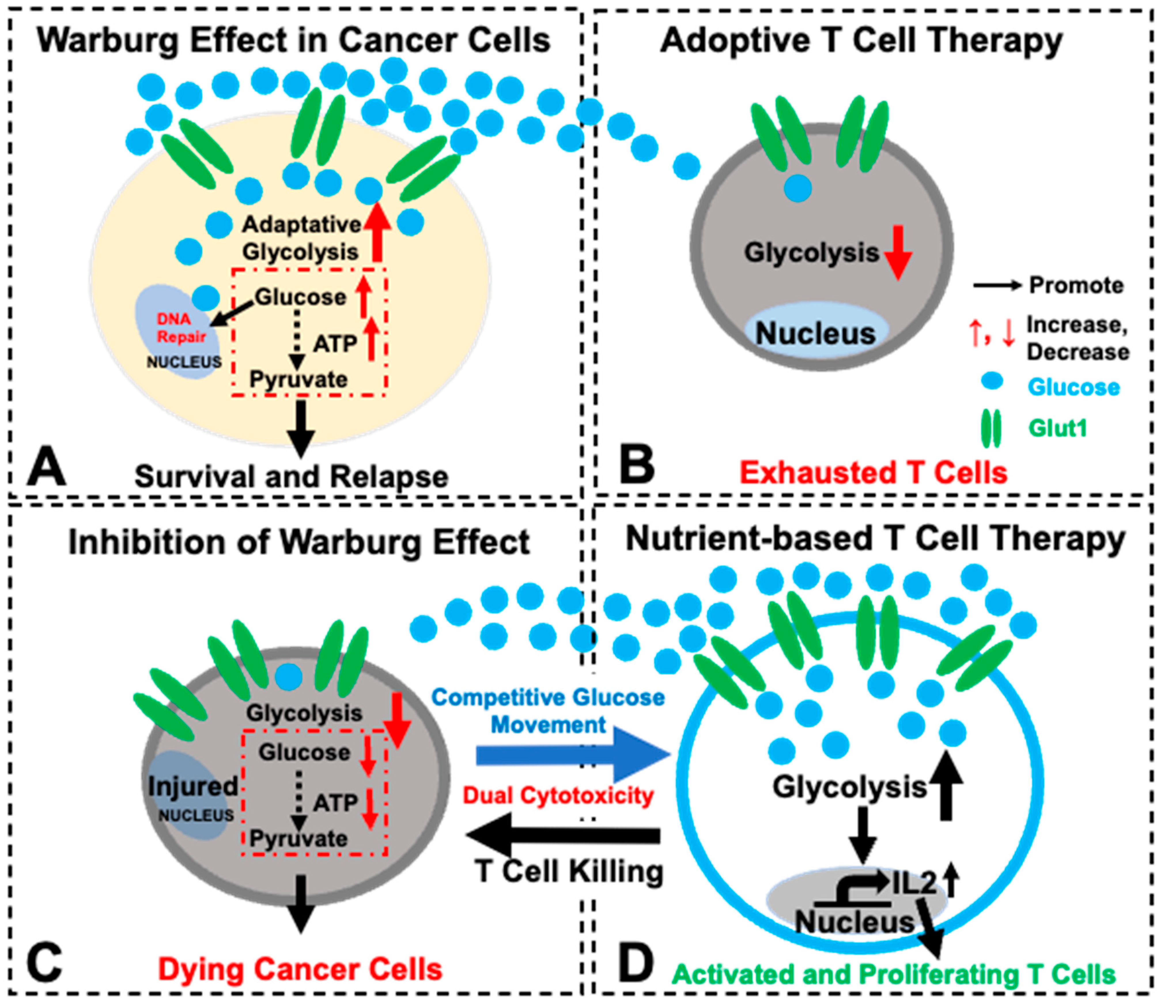 Biomedicines 12 02250 g005