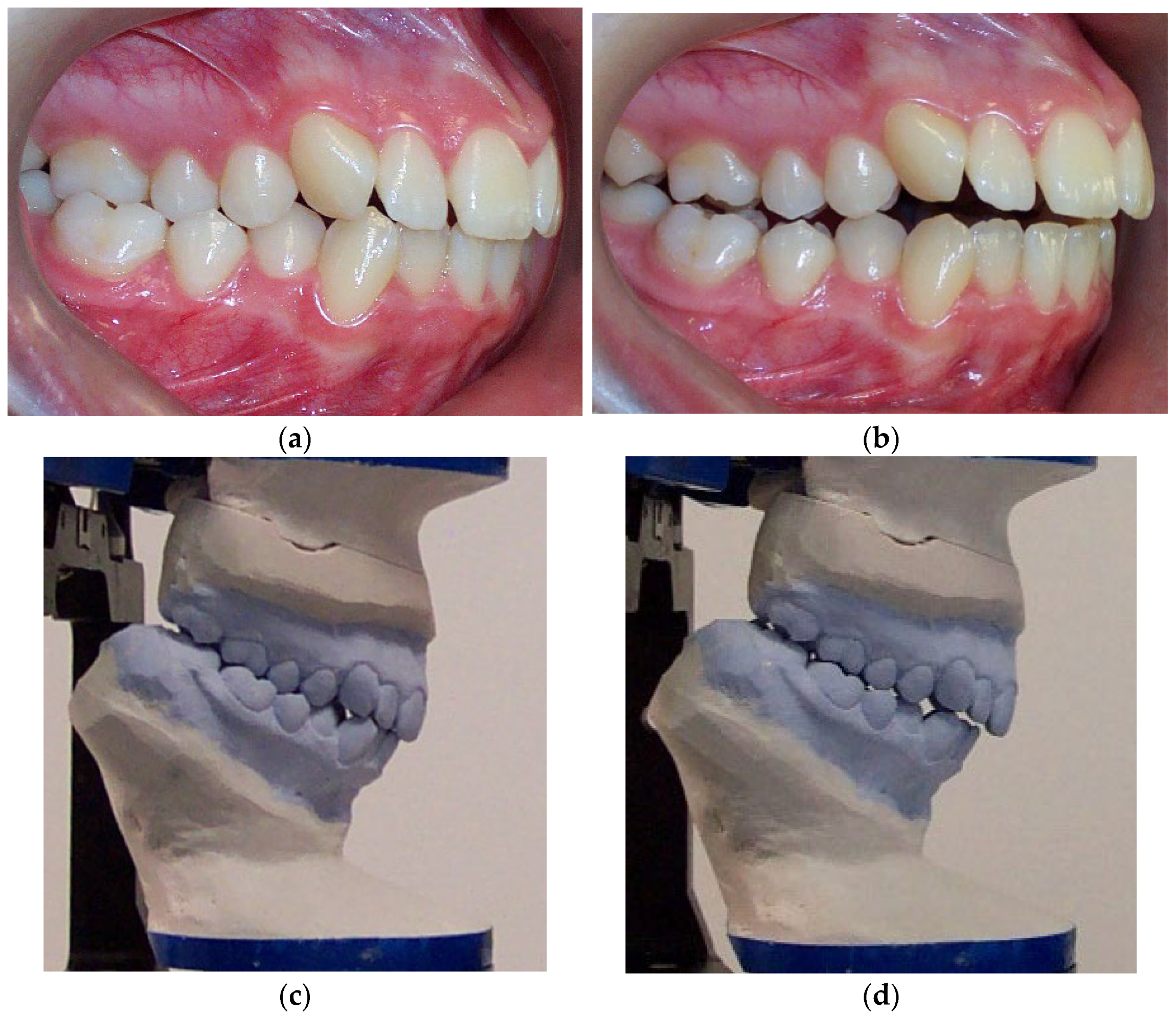 Biomedicines 12 02251 g005