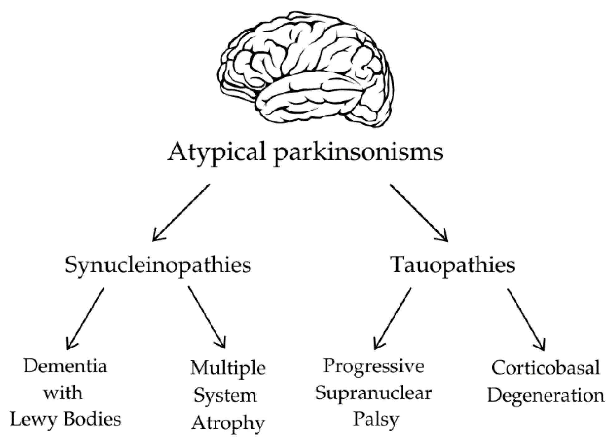 Biomedicines 12 02257 g002