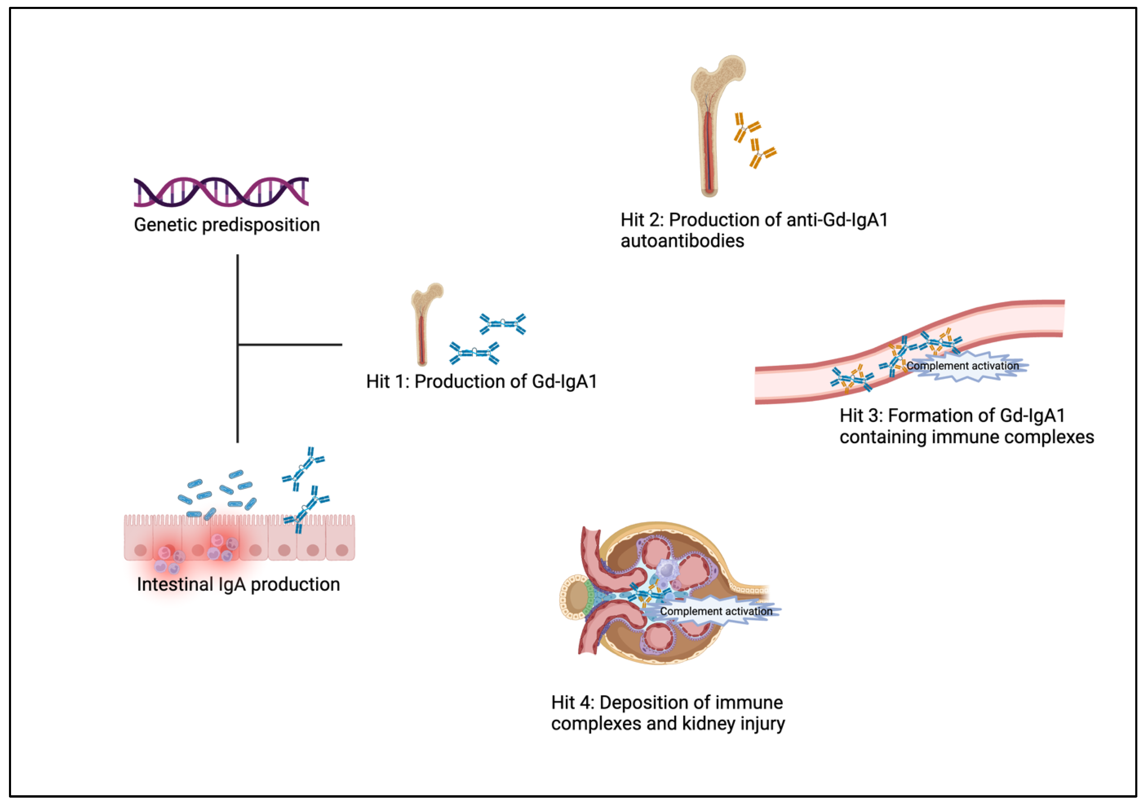 Biomedicines 12 02259 g001 Biomedicines 12 02259 g001