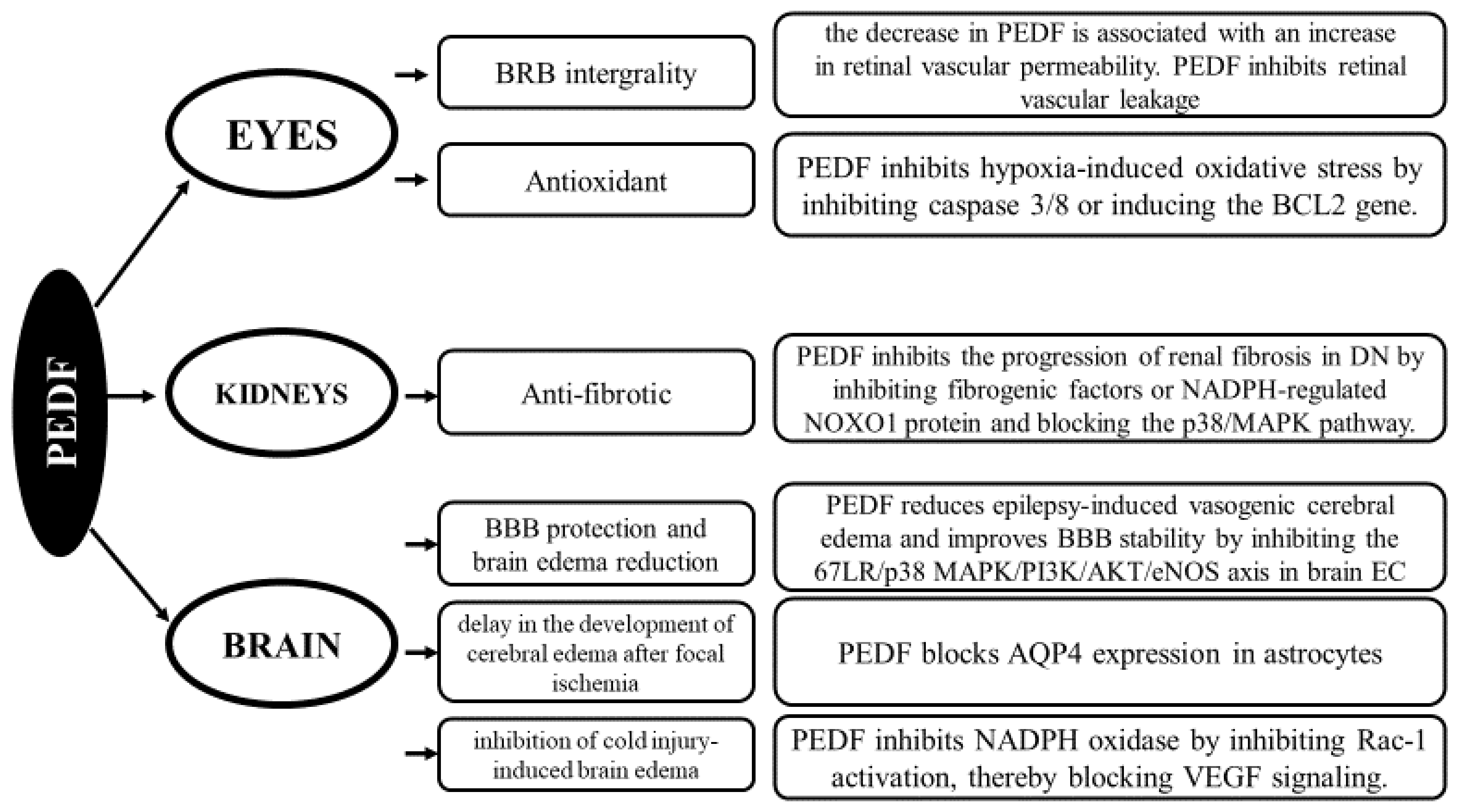 Biomedicines 12 02260 g002