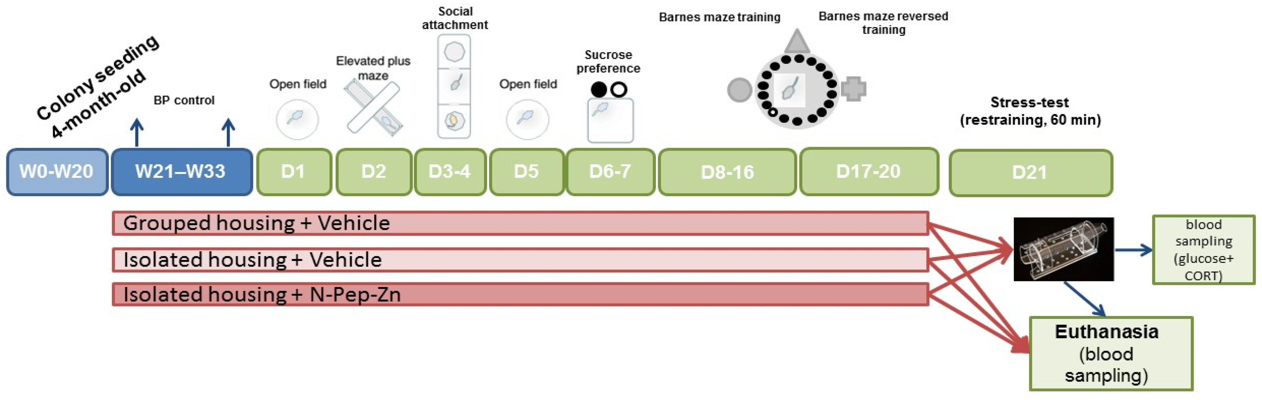 Biomedicines 12 02261 g001 Biomedicines 12 02261 g001