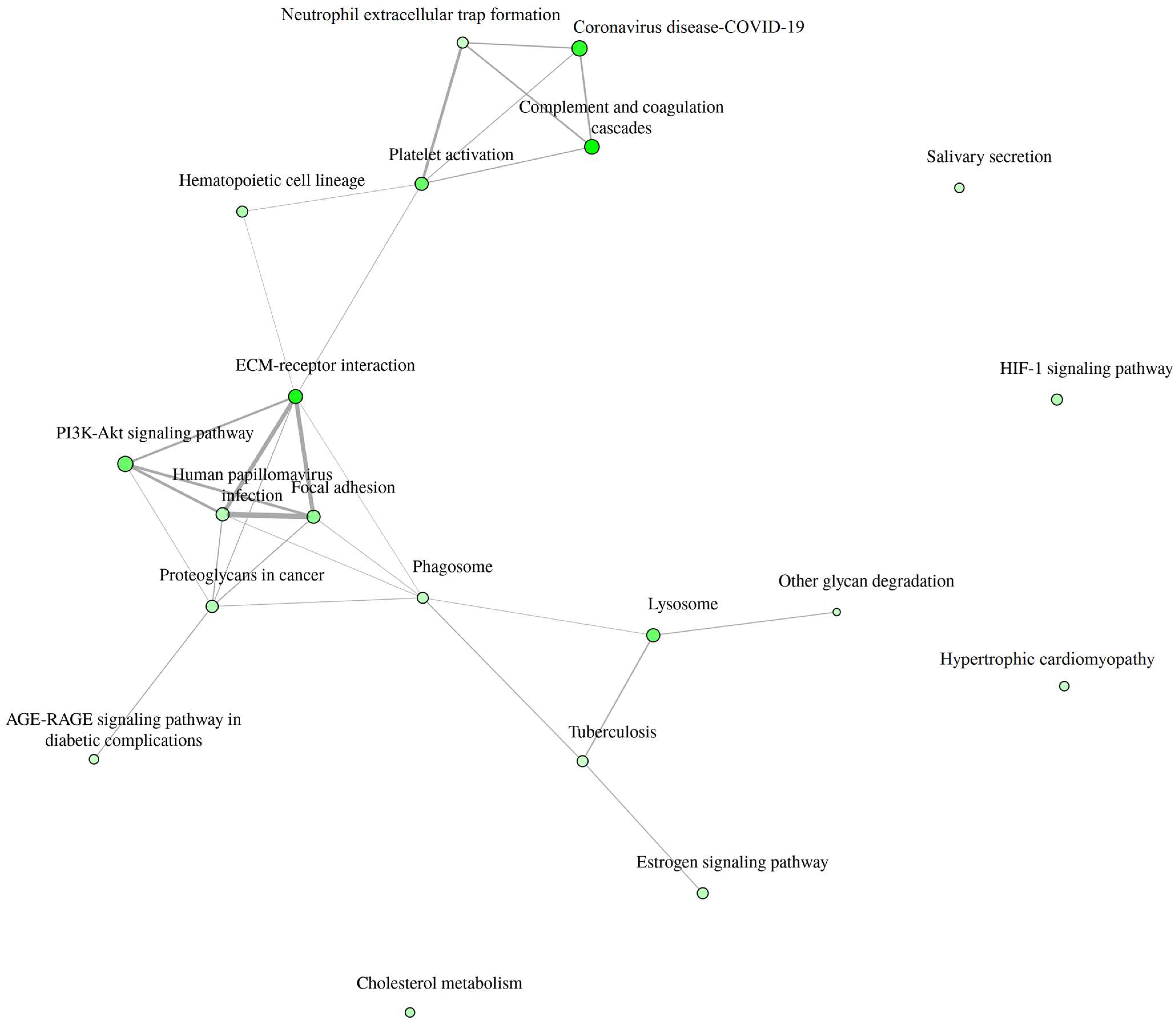 Biomedicines 12 02267 g004
