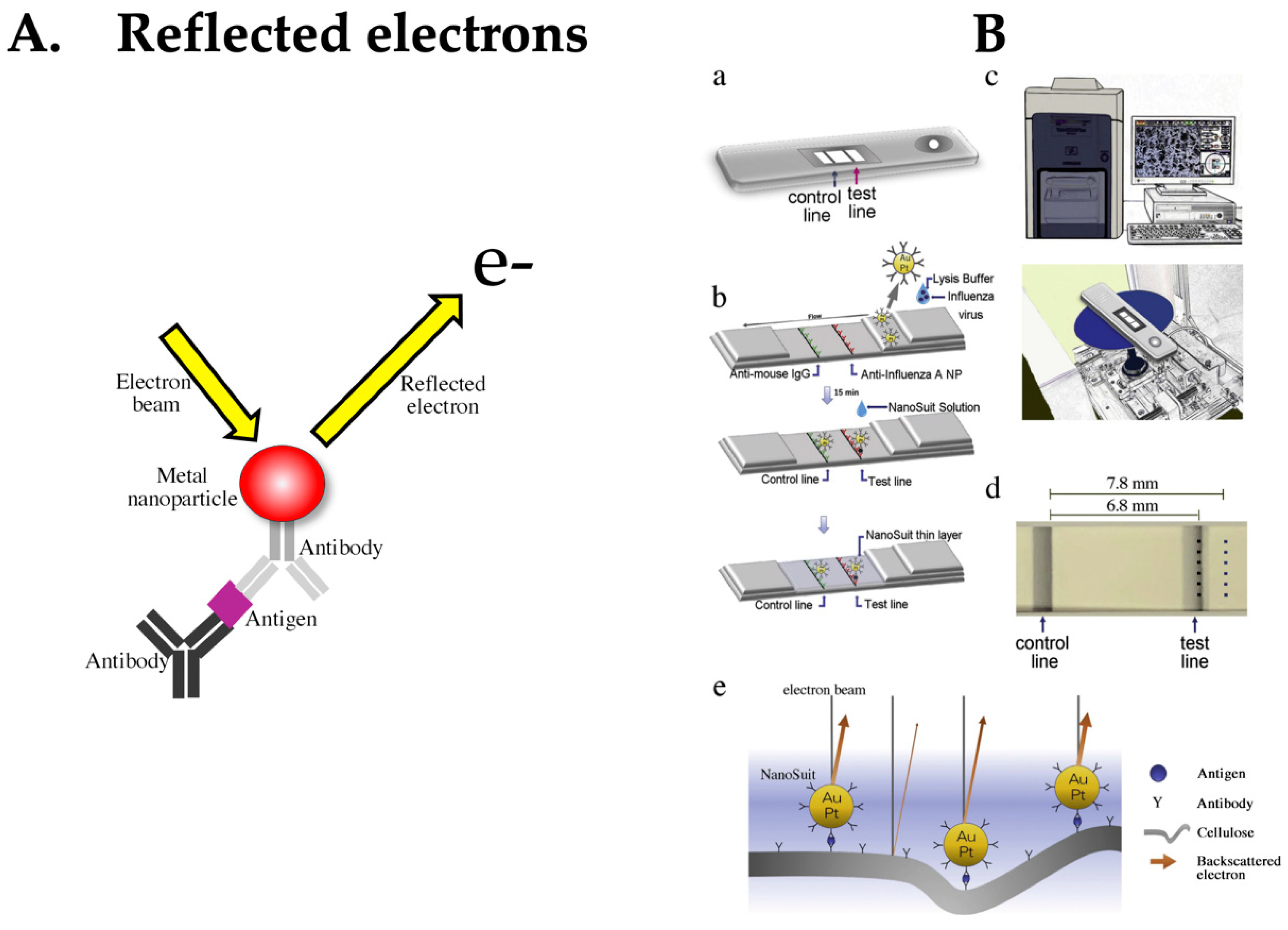 Biomedicines 12 02268 g008