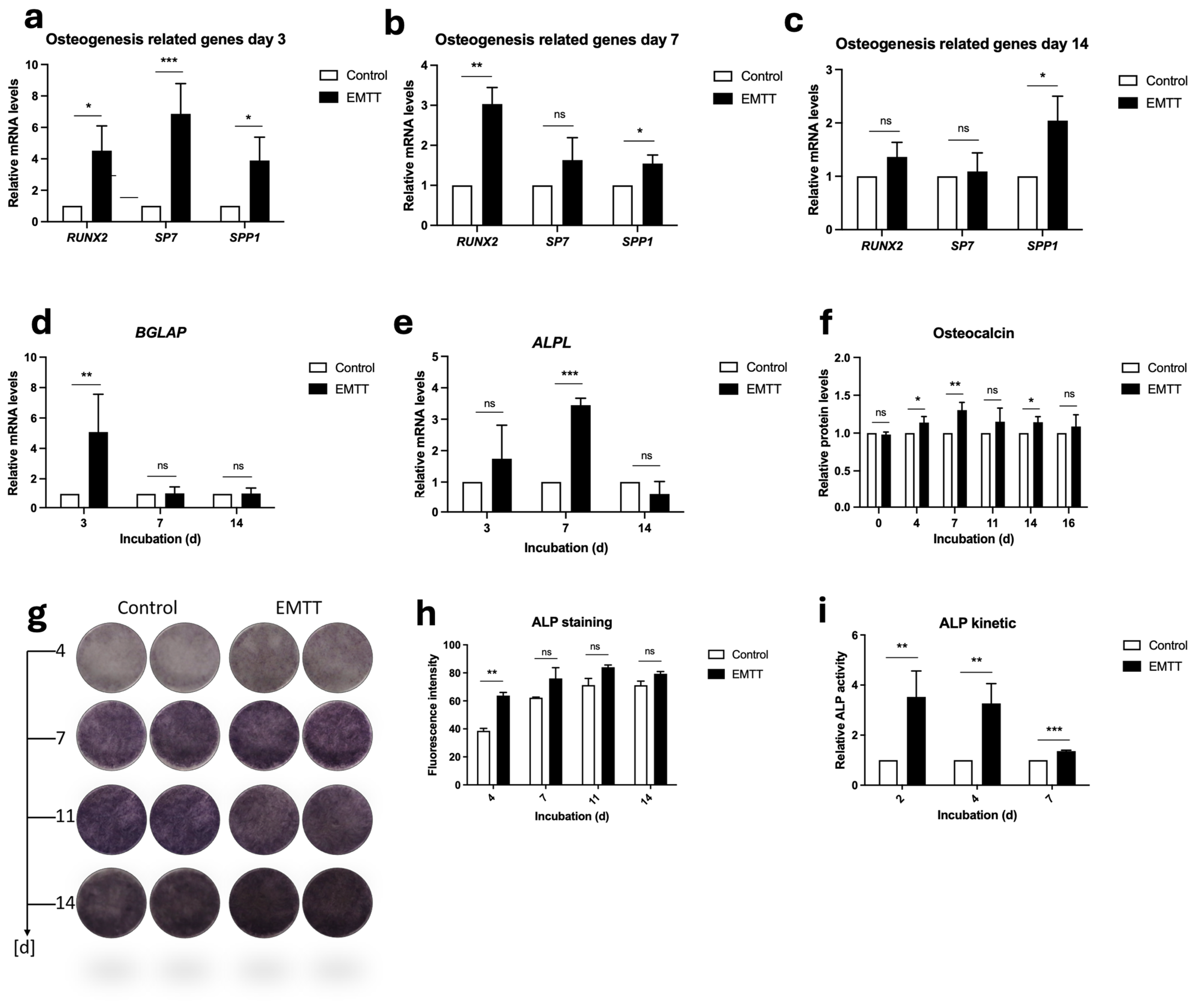 Biomedicines 12 02269 g005