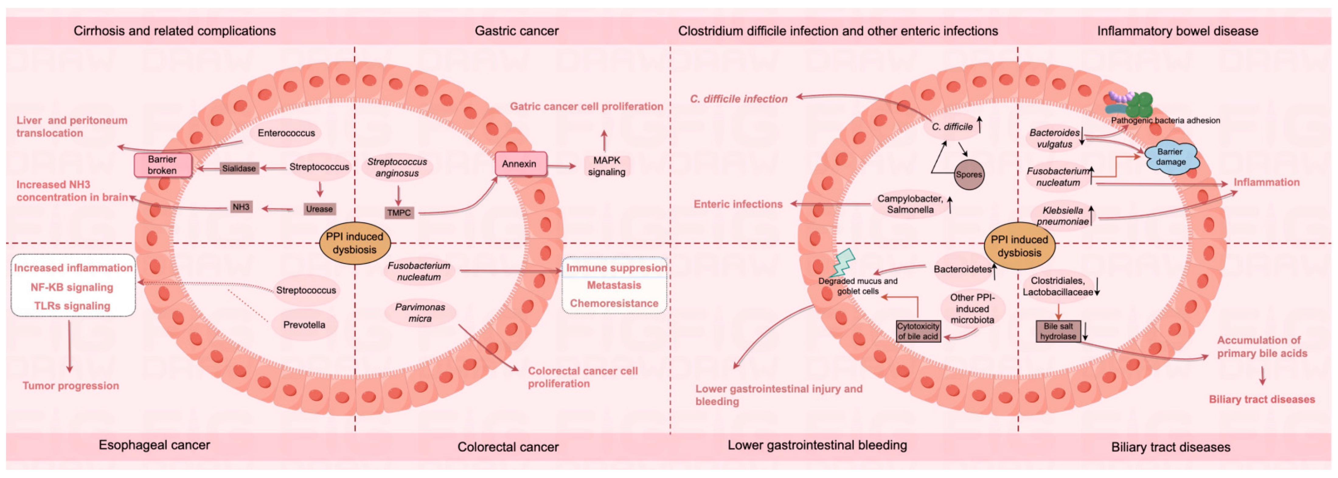 Biomedicines 12 02271 g001
