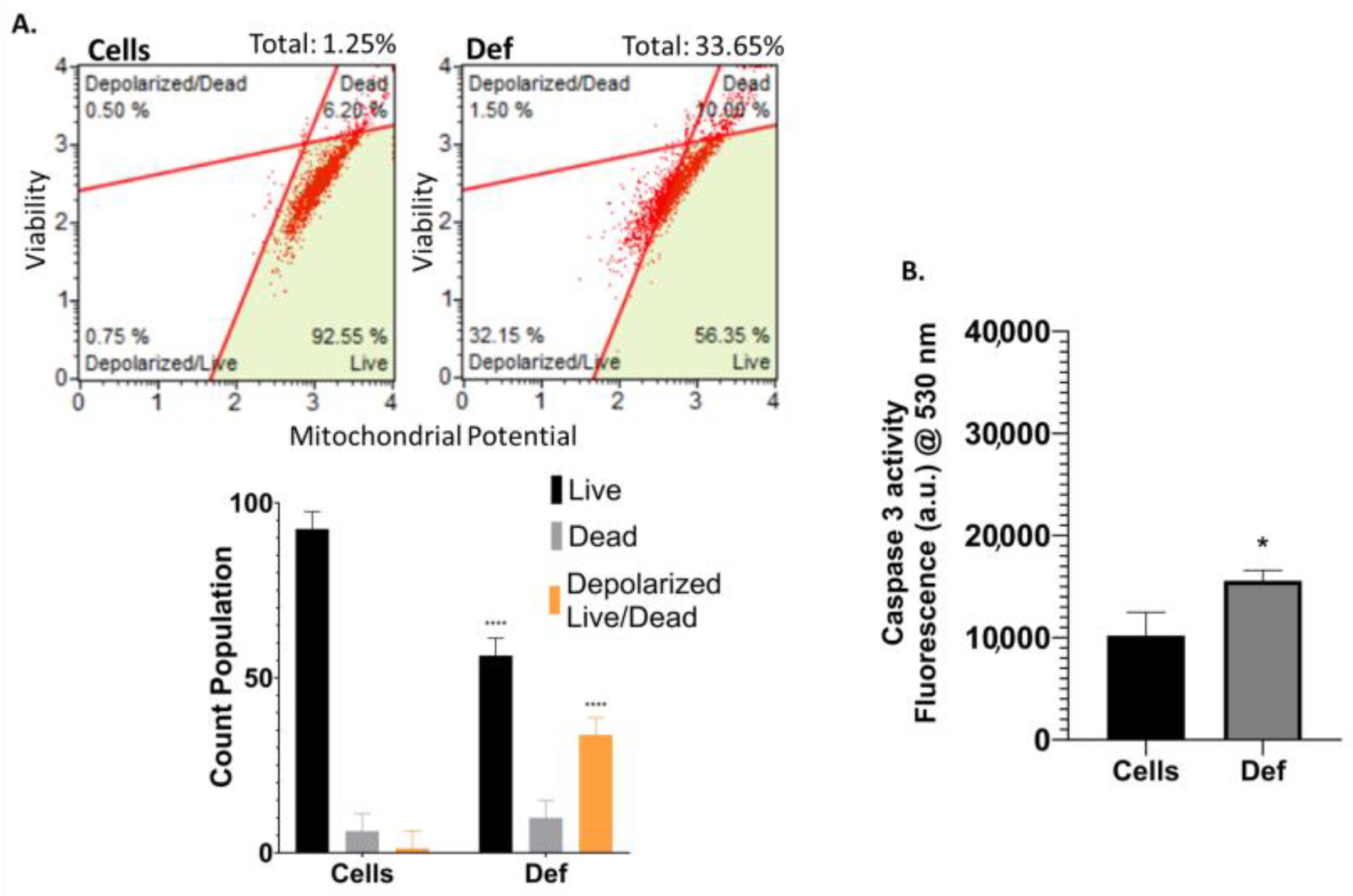 Biomedicines 12 02272 g004