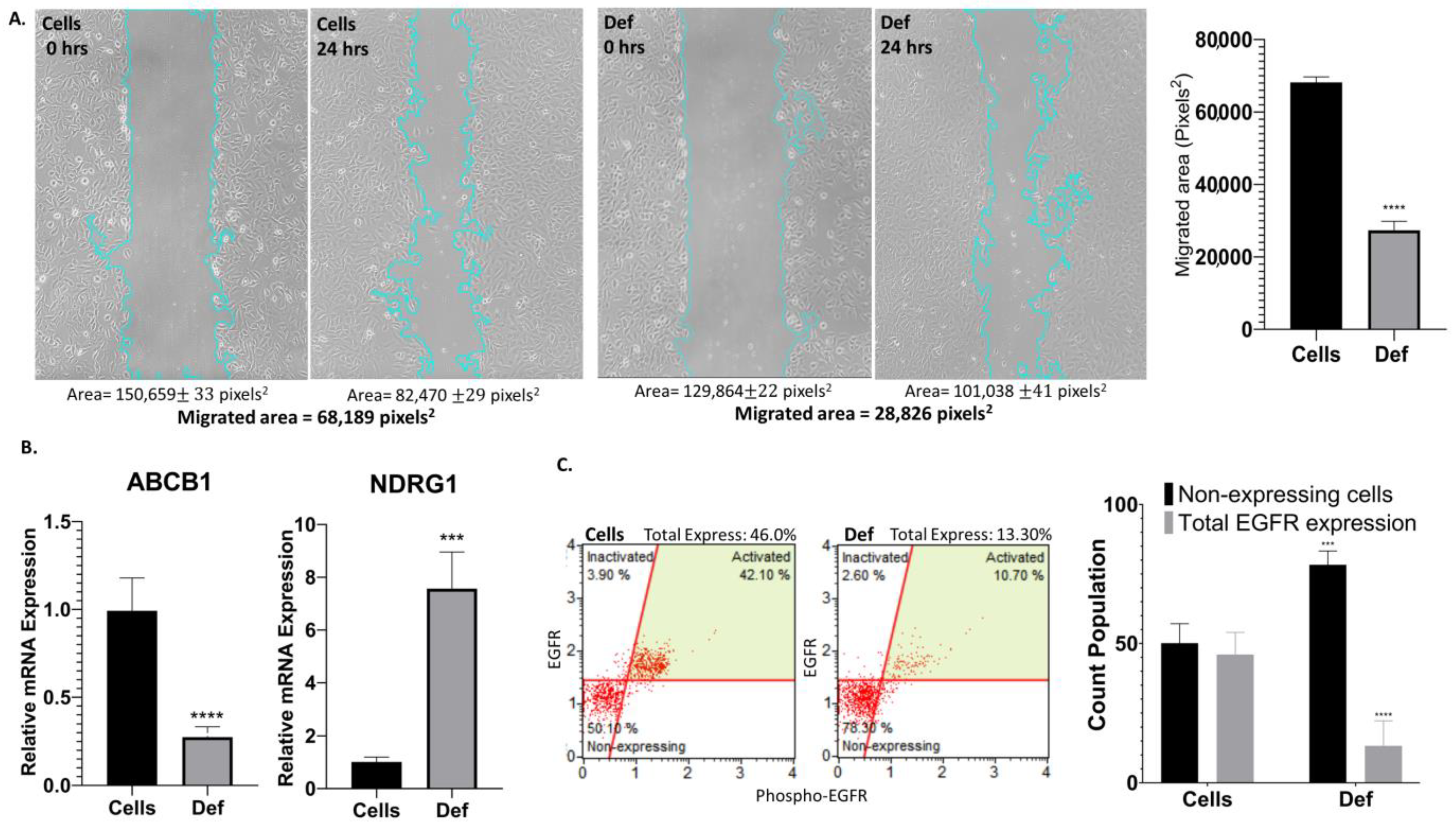 Biomedicines 12 02272 g006