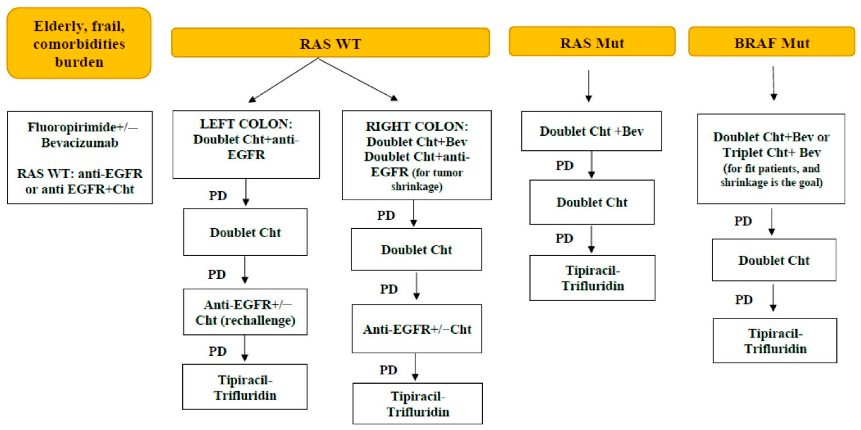 Biomedicines 12 02278 g003