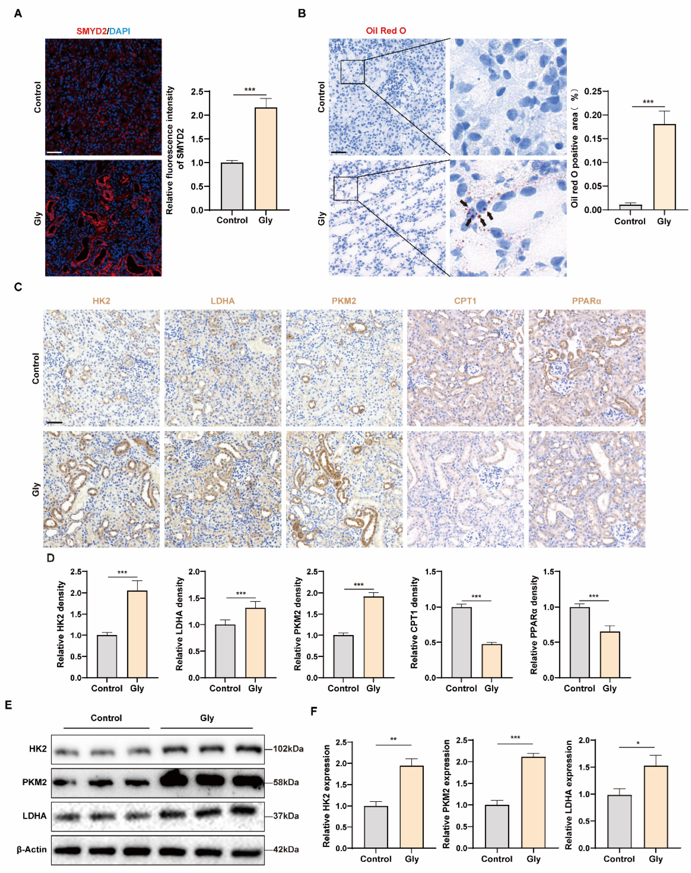 Biomedicines 12 02279 g002