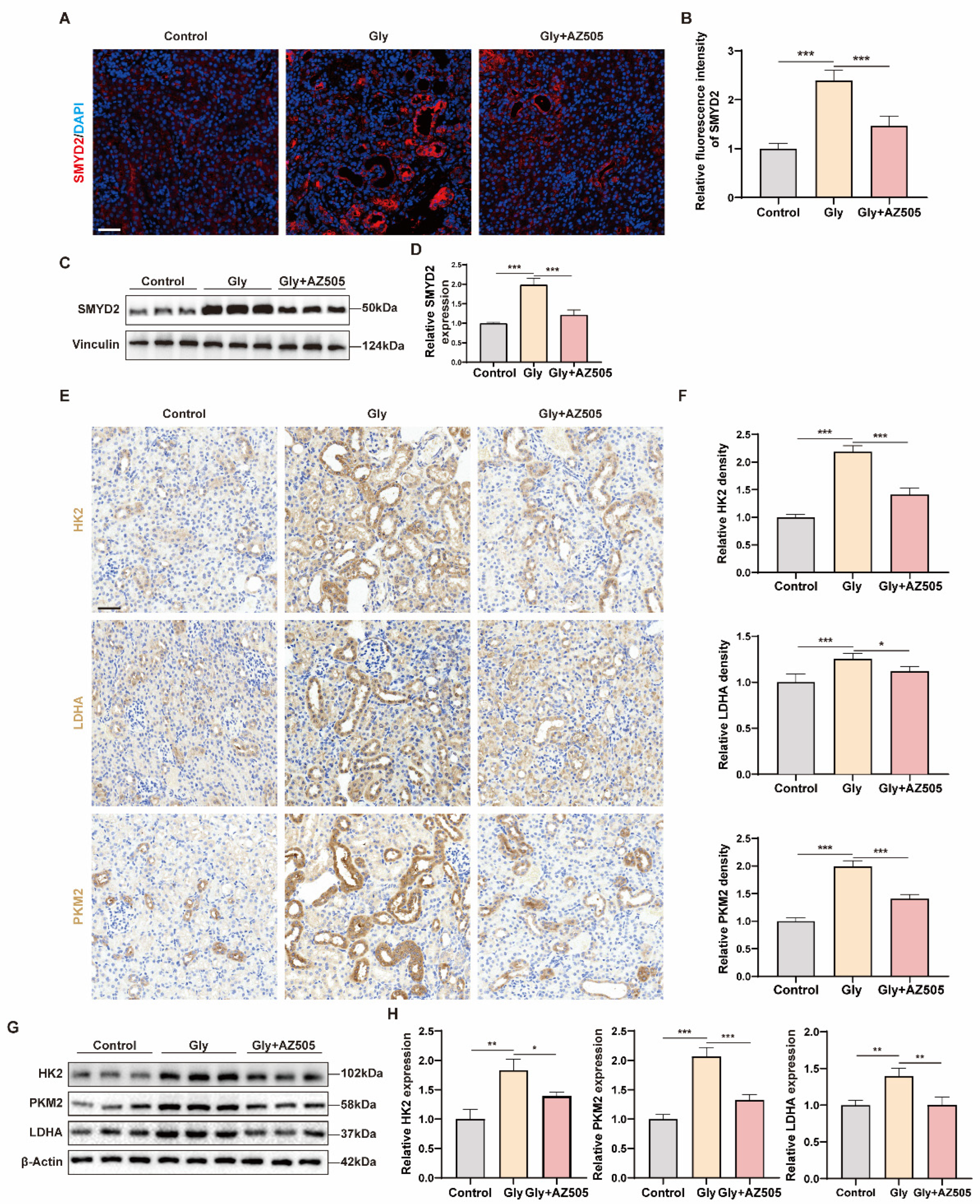 Biomedicines 12 02279 g003