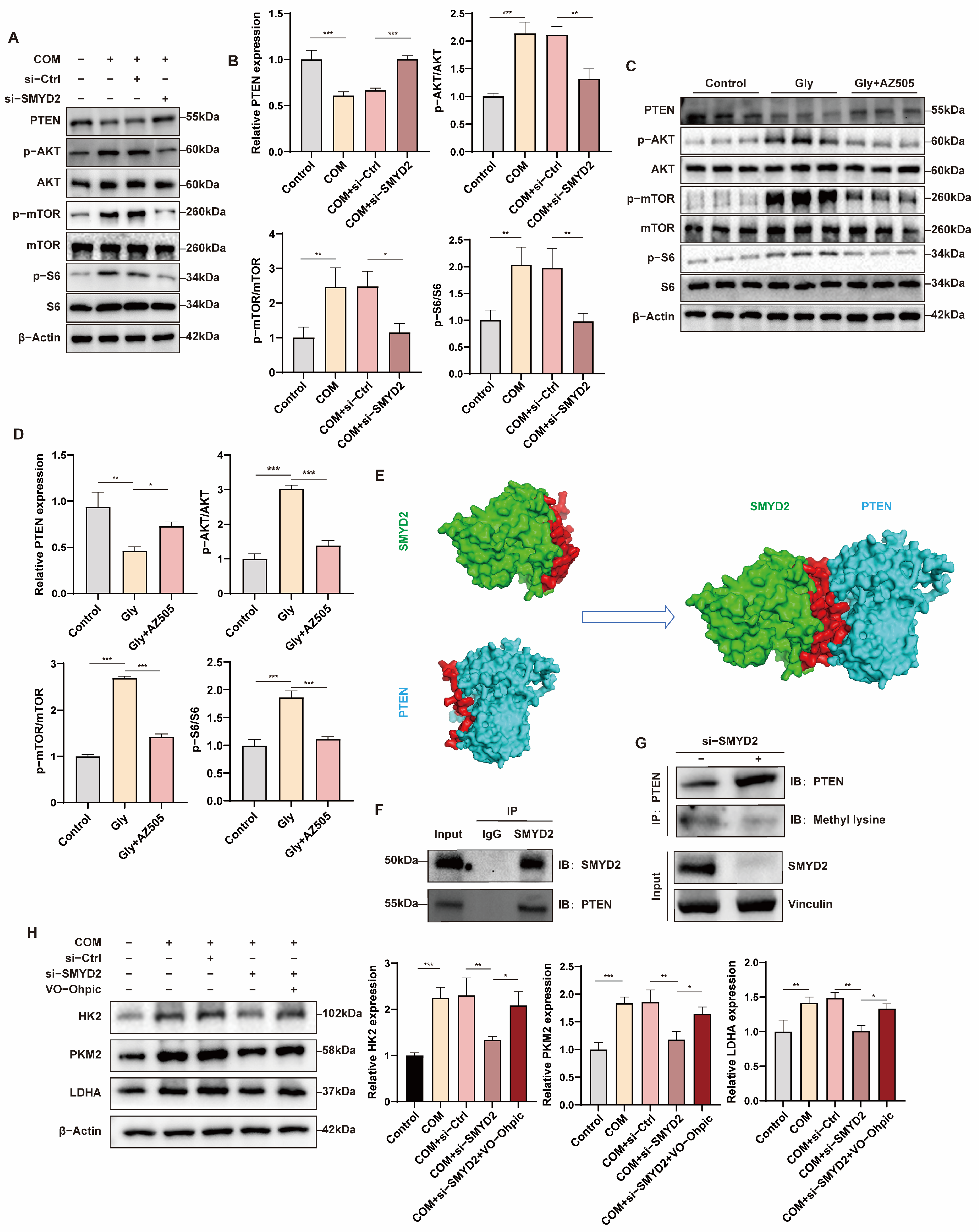 Biomedicines 12 02279 g007