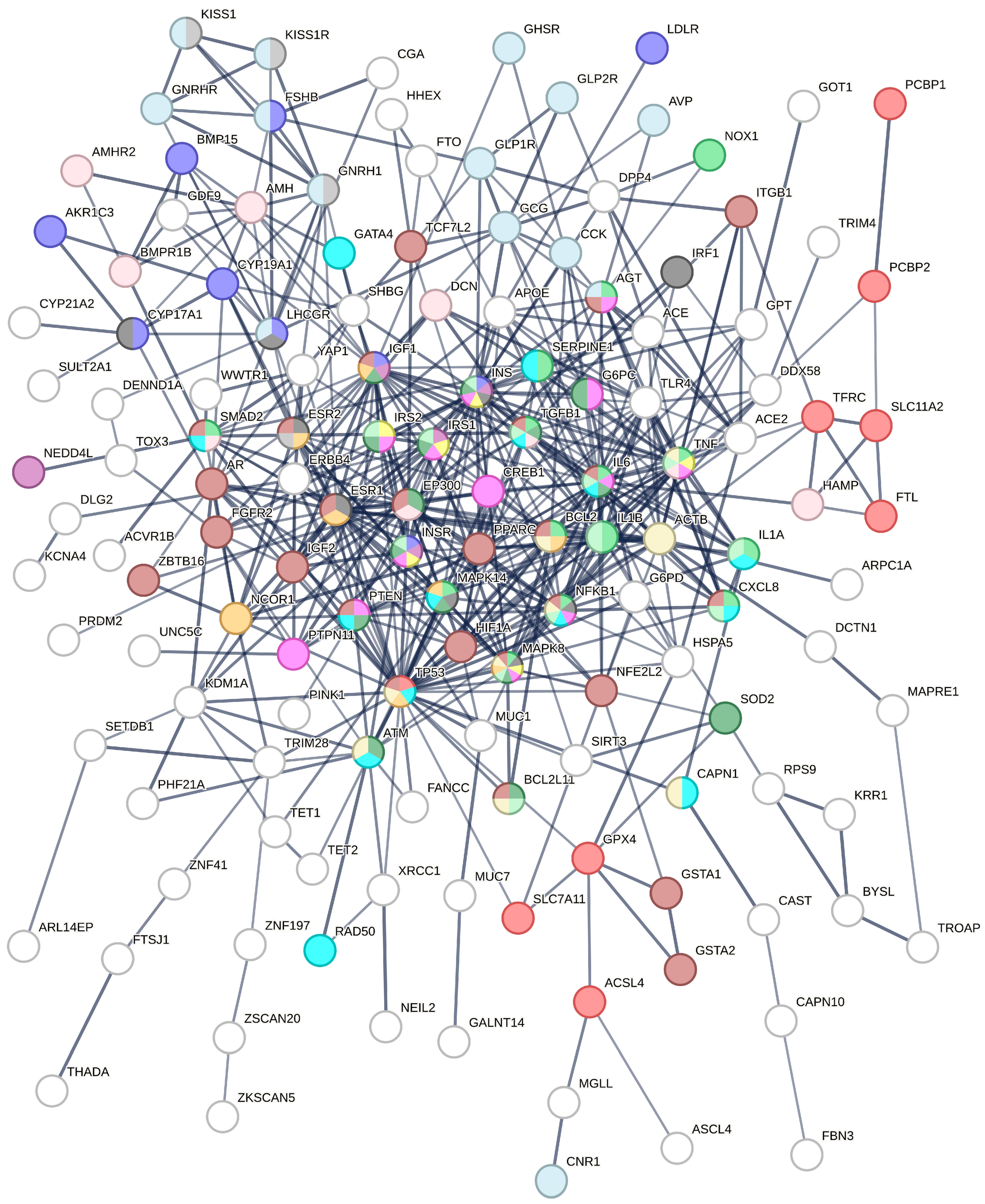 Biomedicines 12 02280 g002