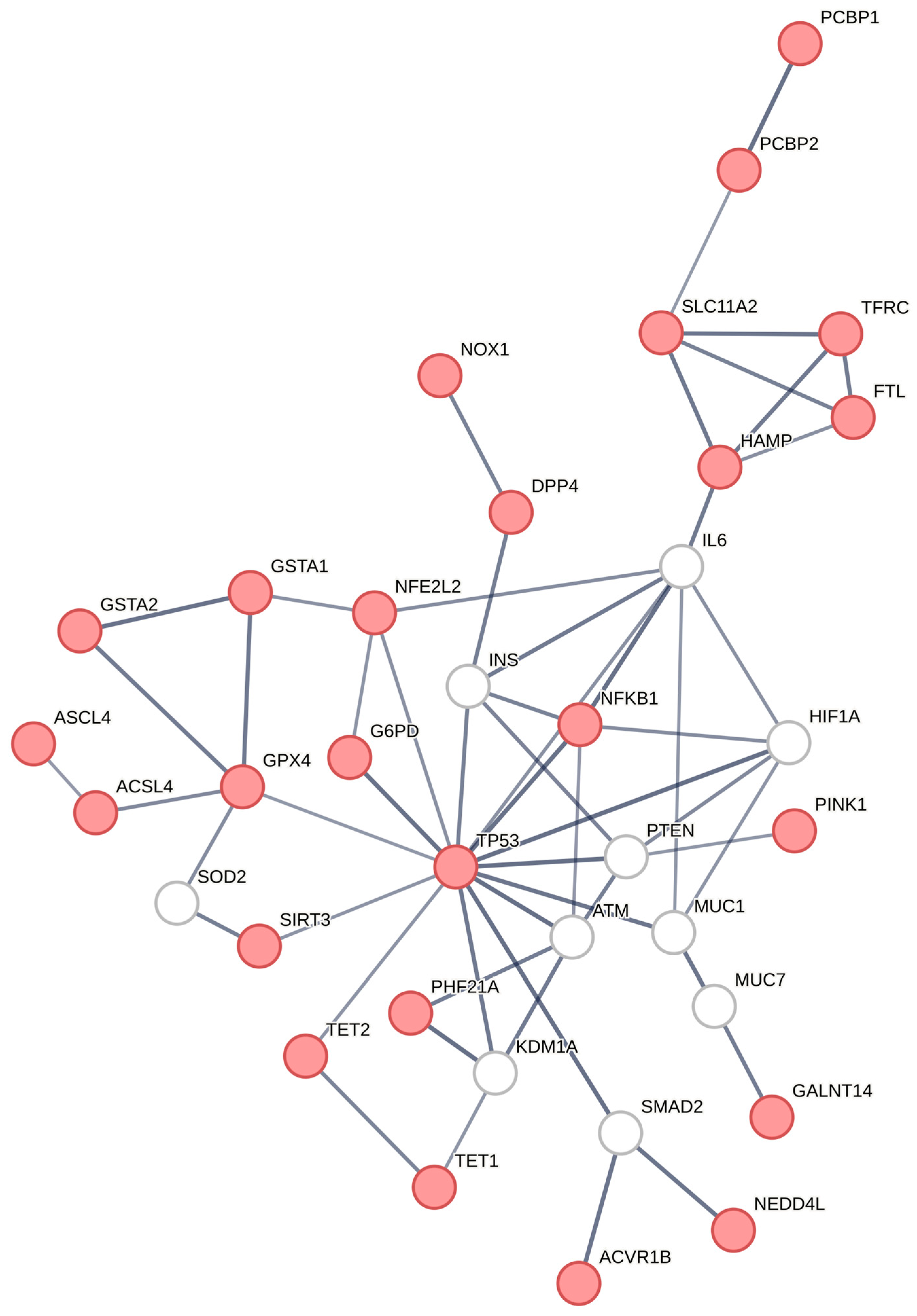 Biomedicines 12 02280 g004
