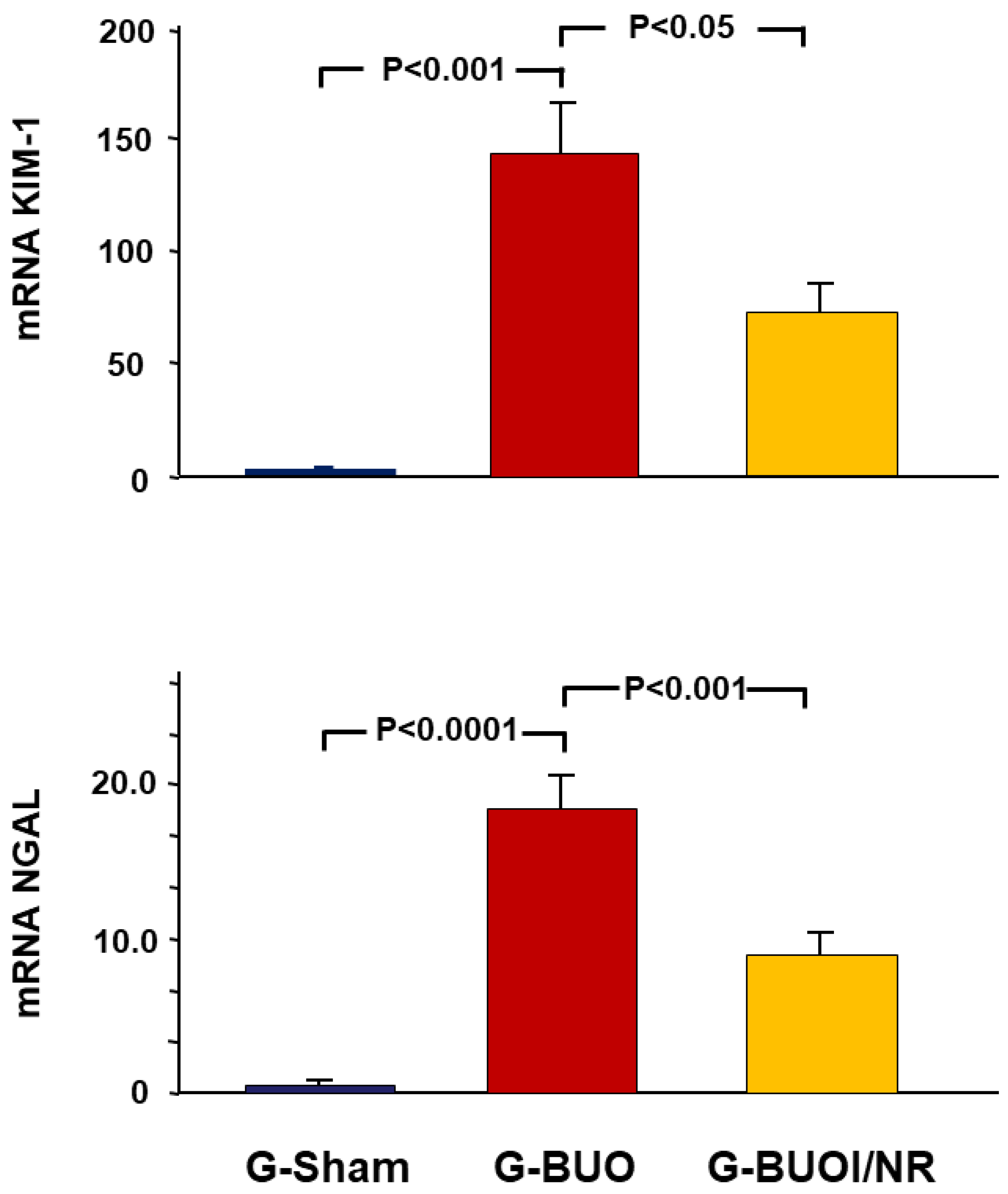 Biomedicines 12 02285 g002 Biomedicines 12 02285 g002