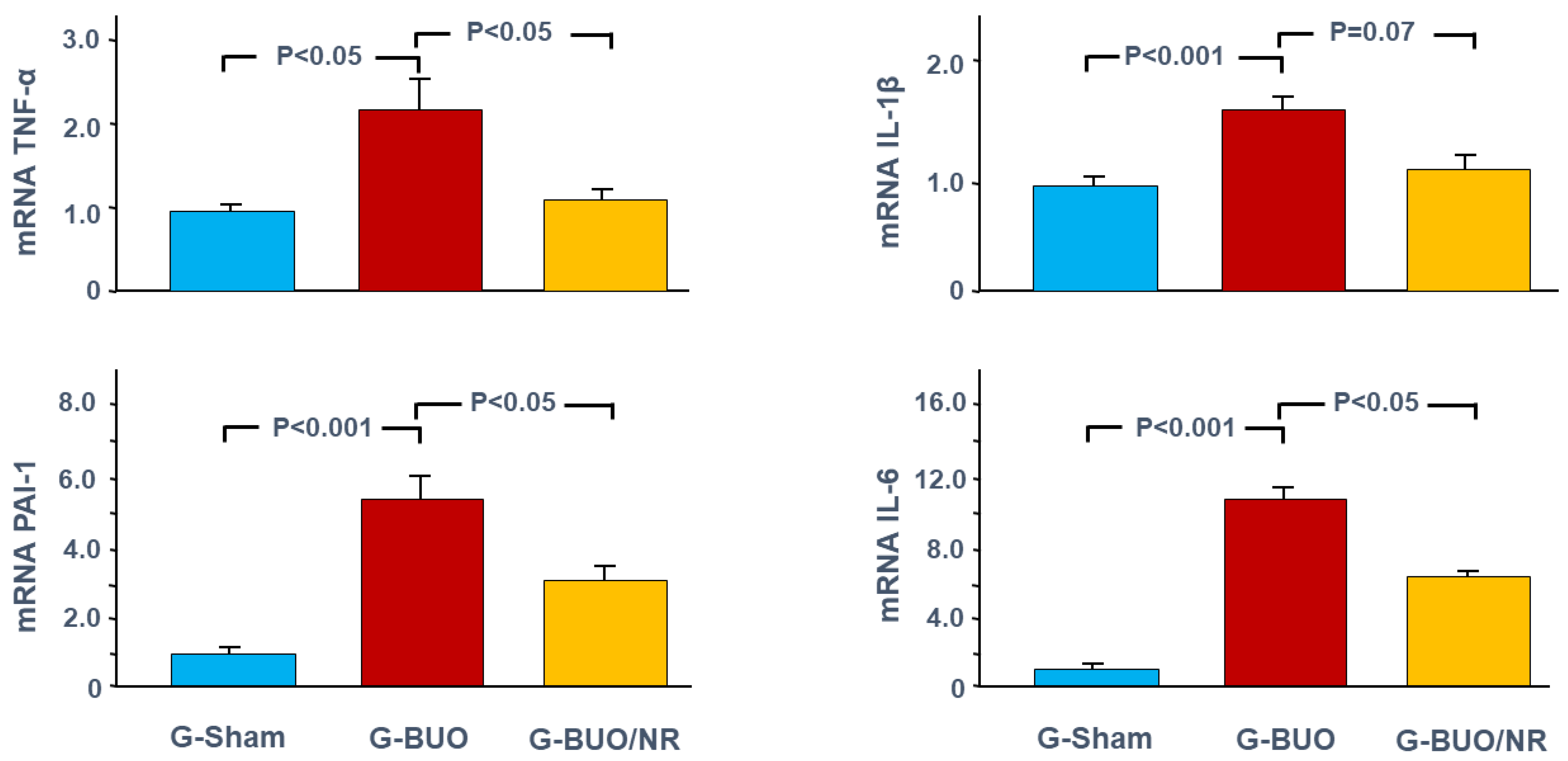 Biomedicines 12 02285 g003 Biomedicines 12 02285 g003