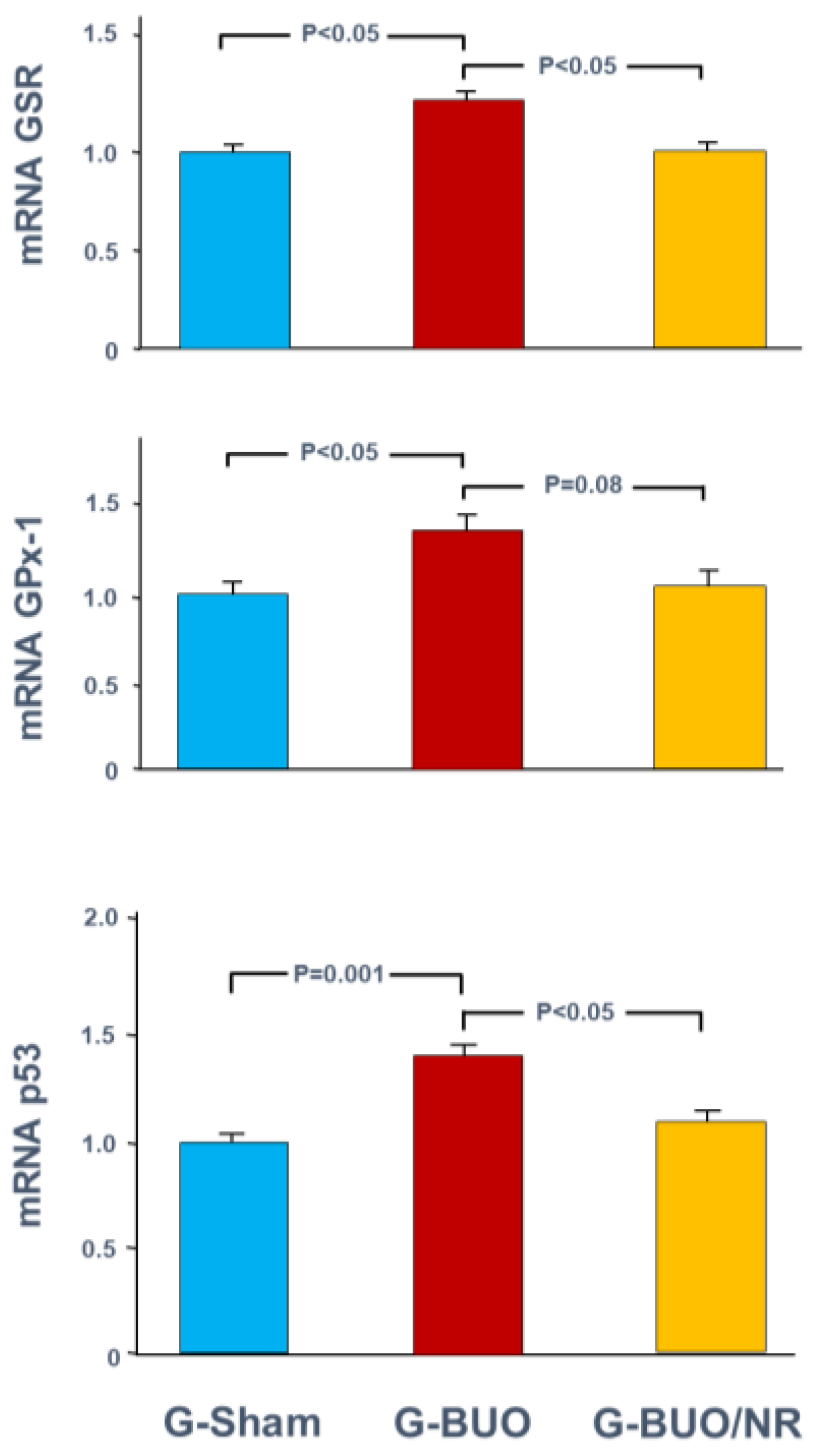 Biomedicines 12 02285 g004 Biomedicines 12 02285 g004