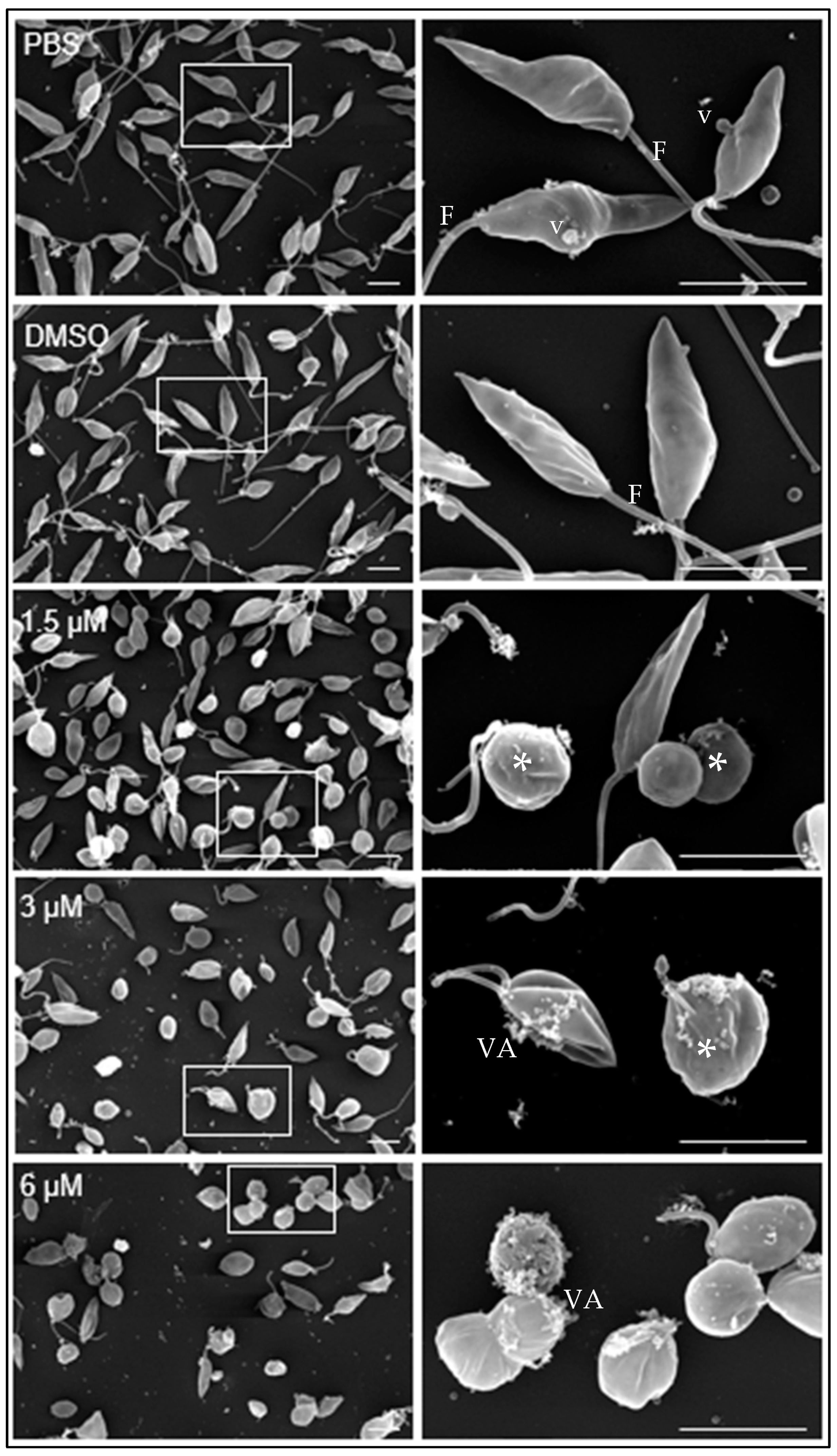 Biomedicines 12 02290 g002