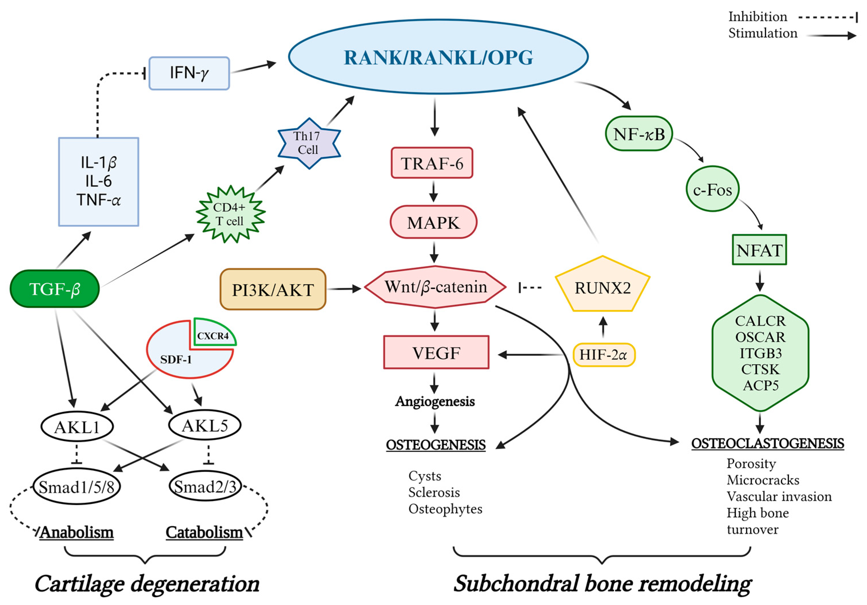 Biomedicines 12 02292 g001