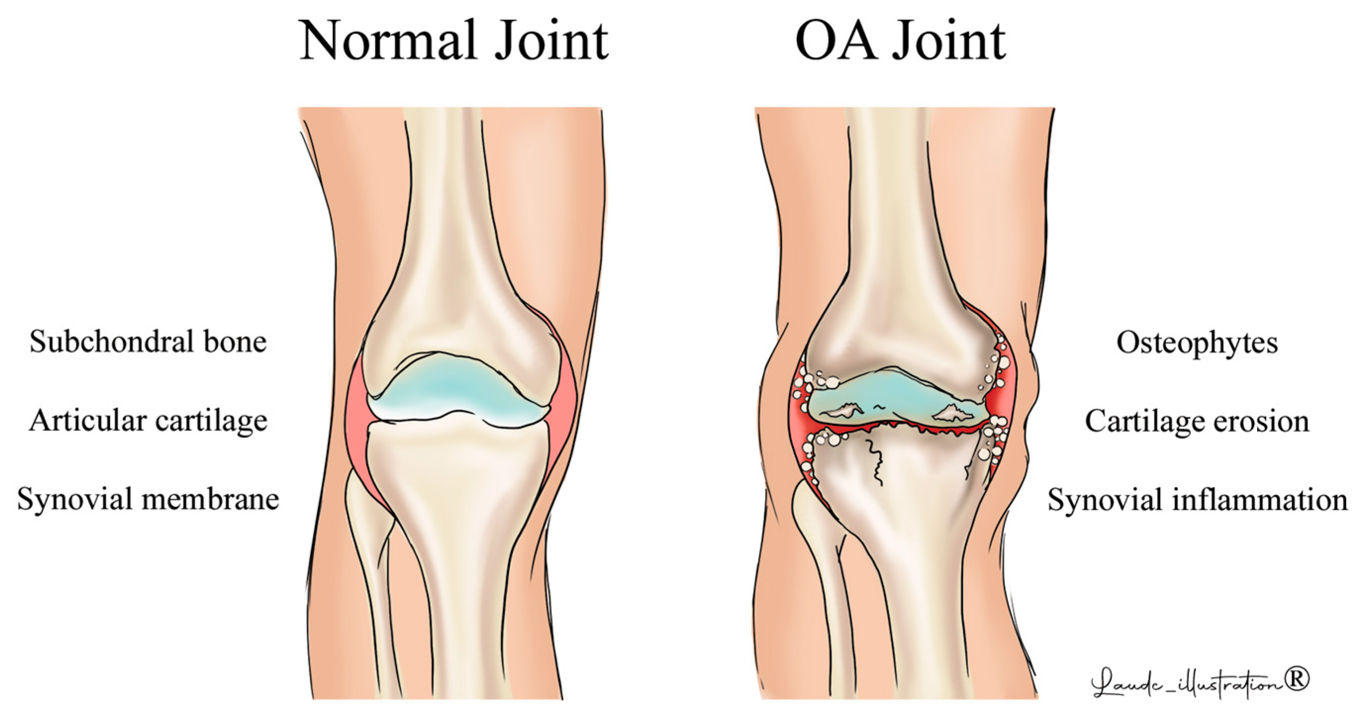 Biomedicines 12 02292 g002