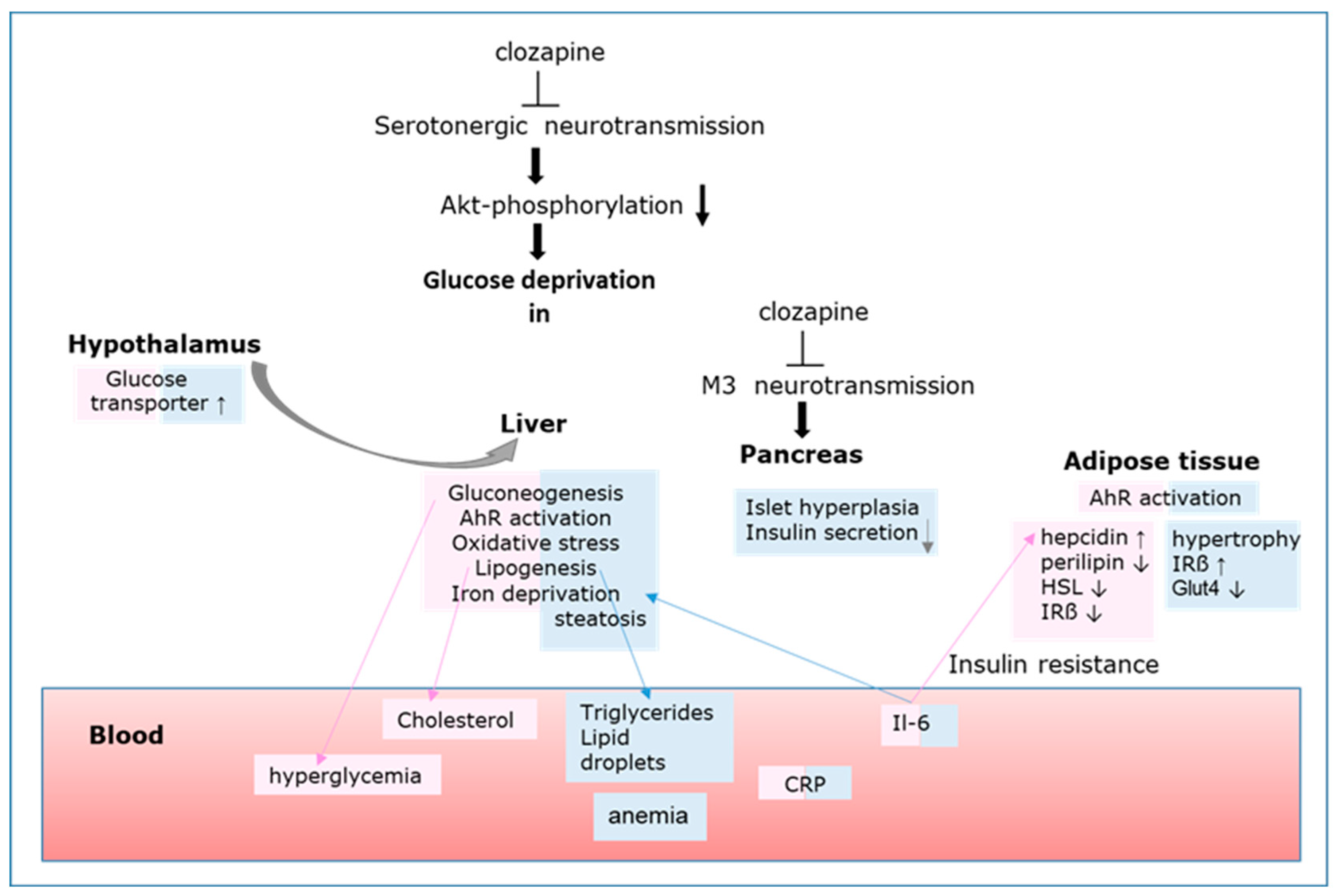 Biomedicines 12 02294 g003 Biomedicines 12 02294 g003