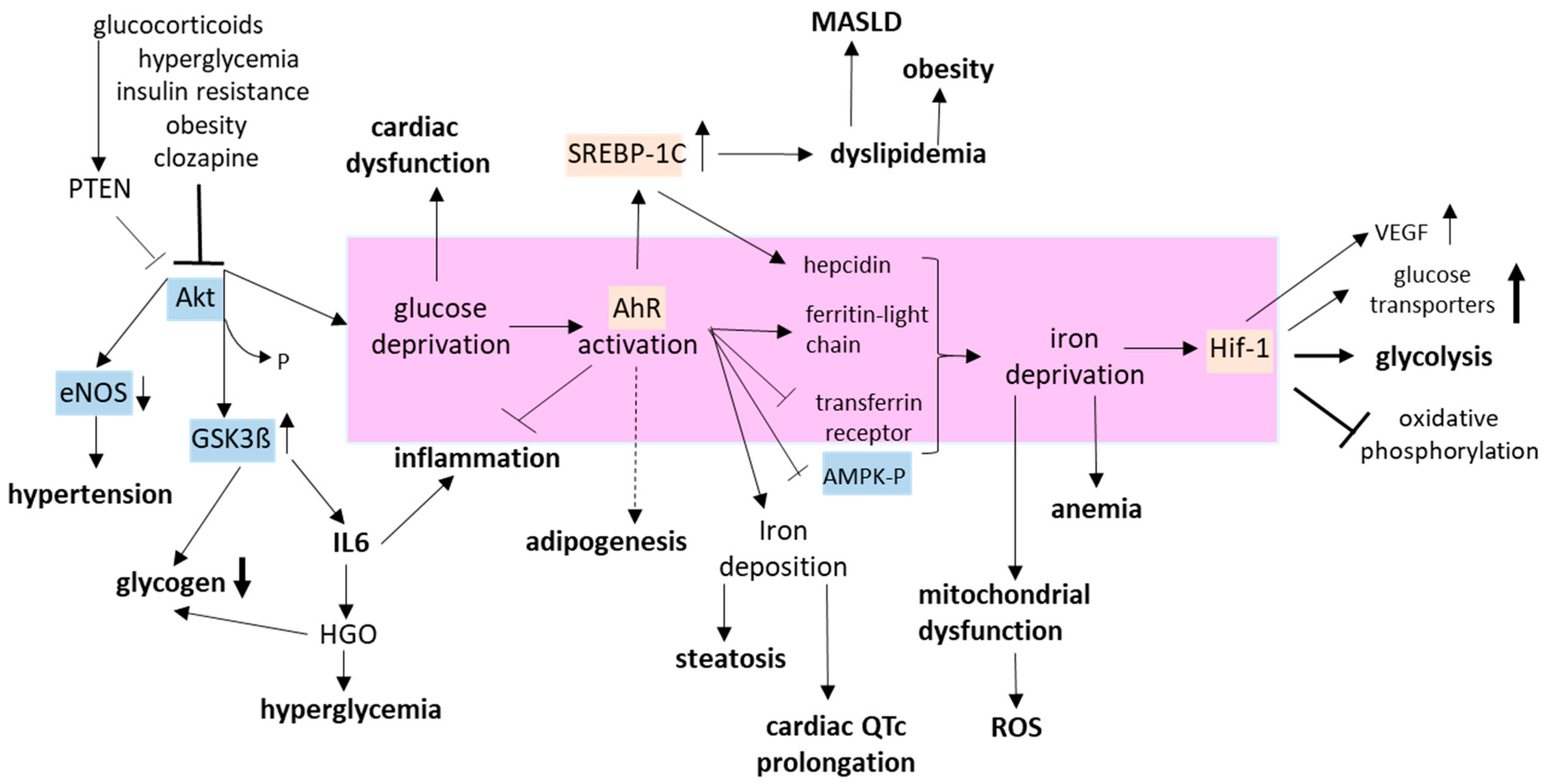 Biomedicines 12 02294 g005 Biomedicines 12 02294 g005