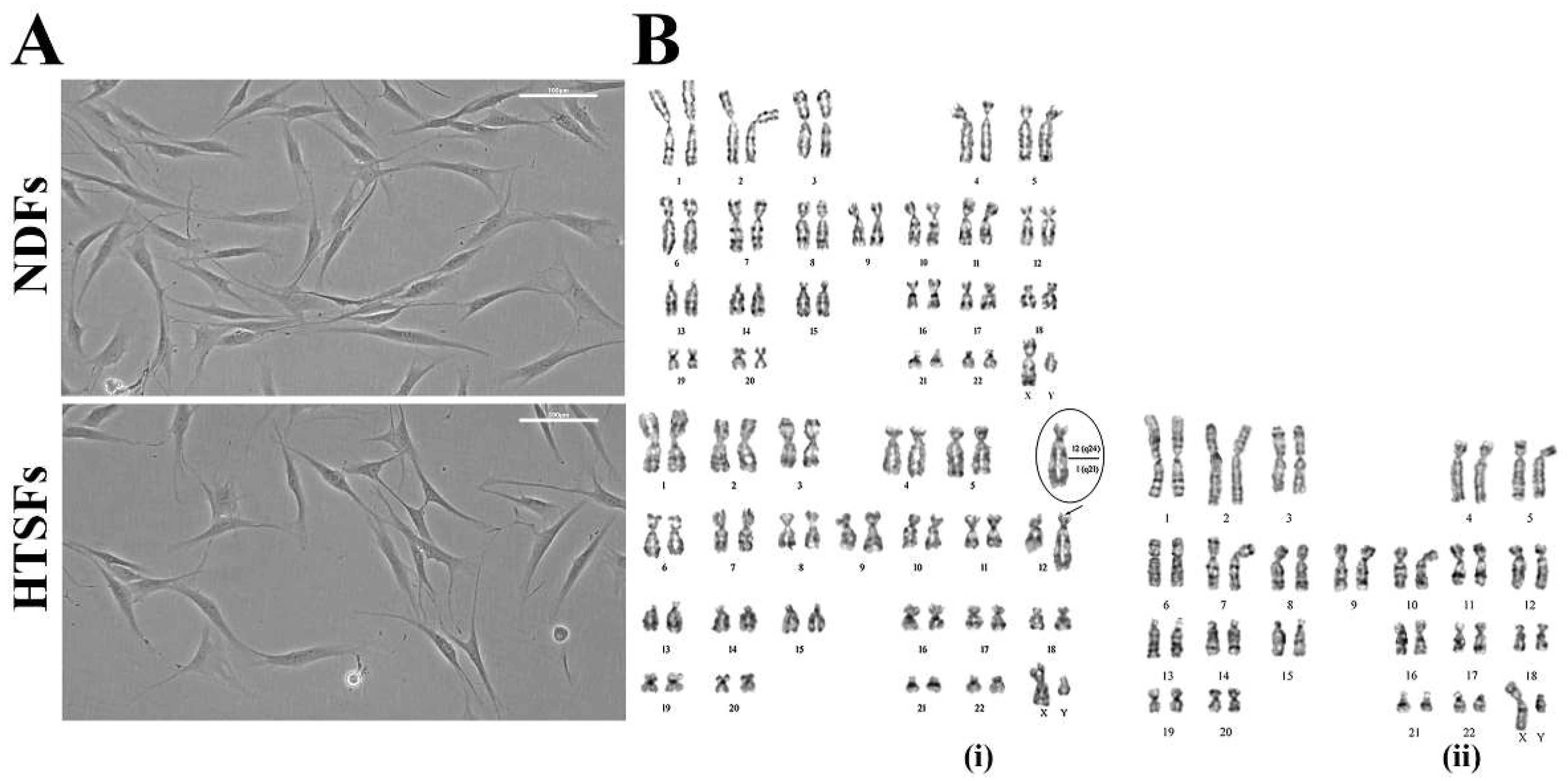 Biomedicines 12 02295 g001