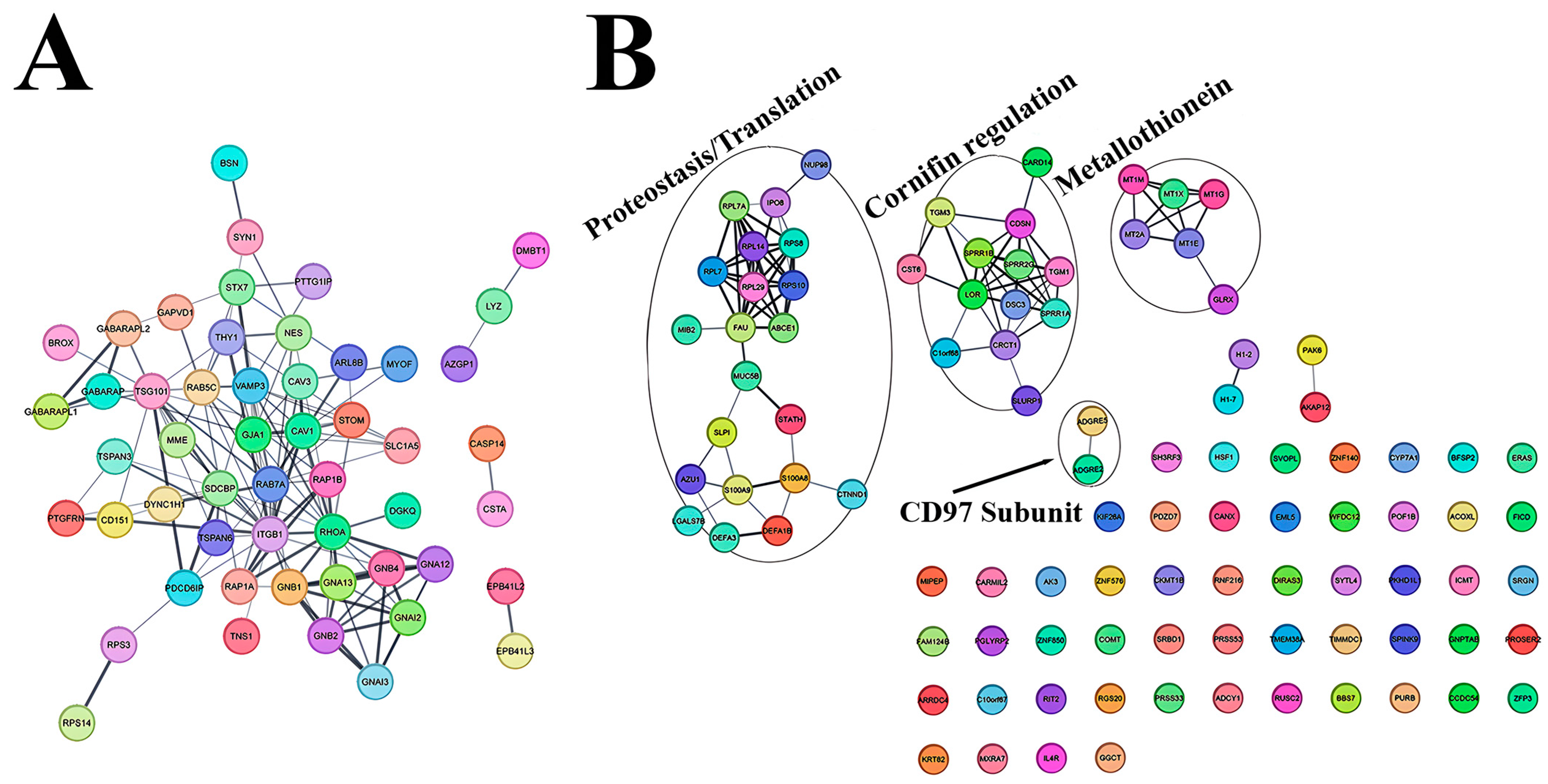 Biomedicines 12 02295 g005
