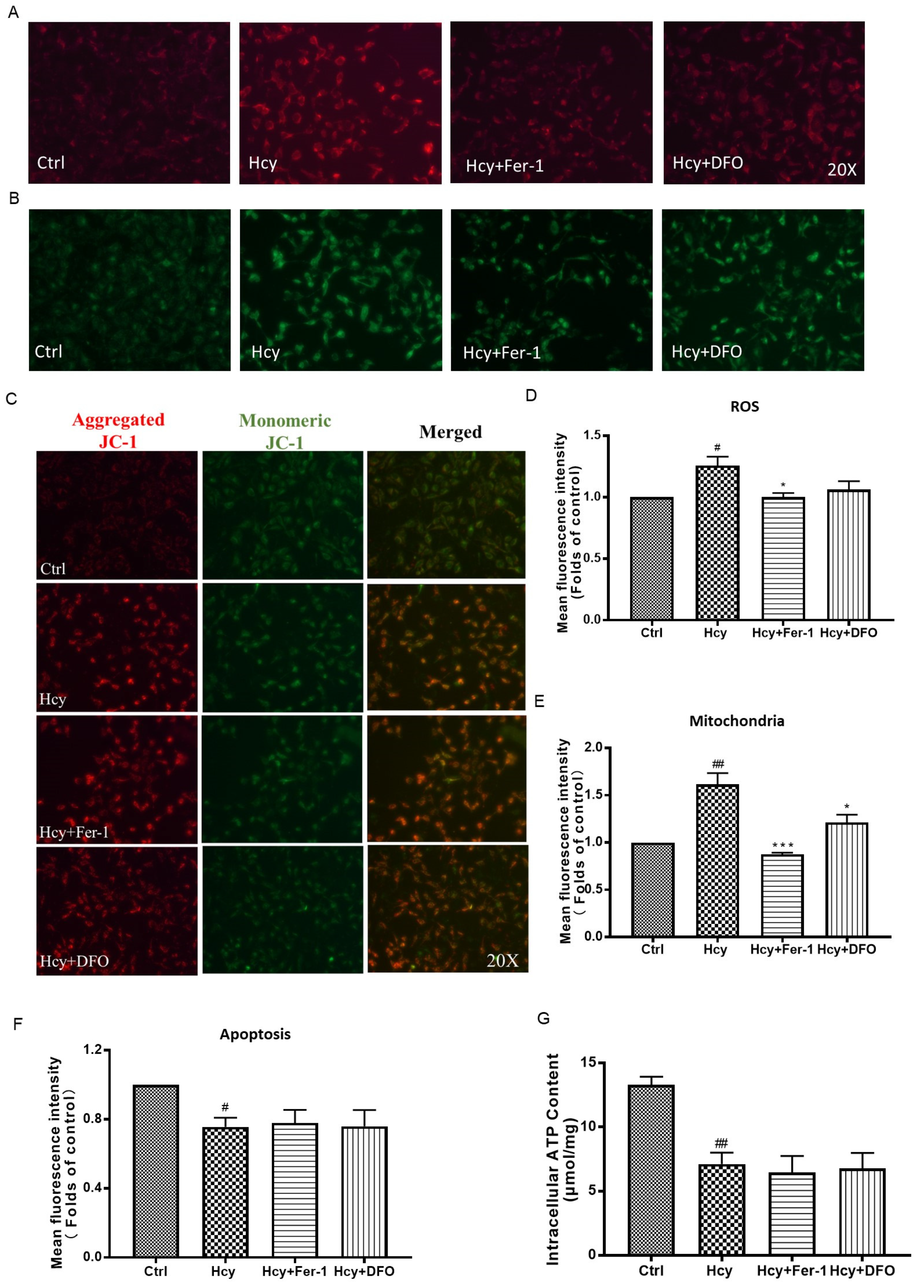 Biomedicines 12 02301 g005