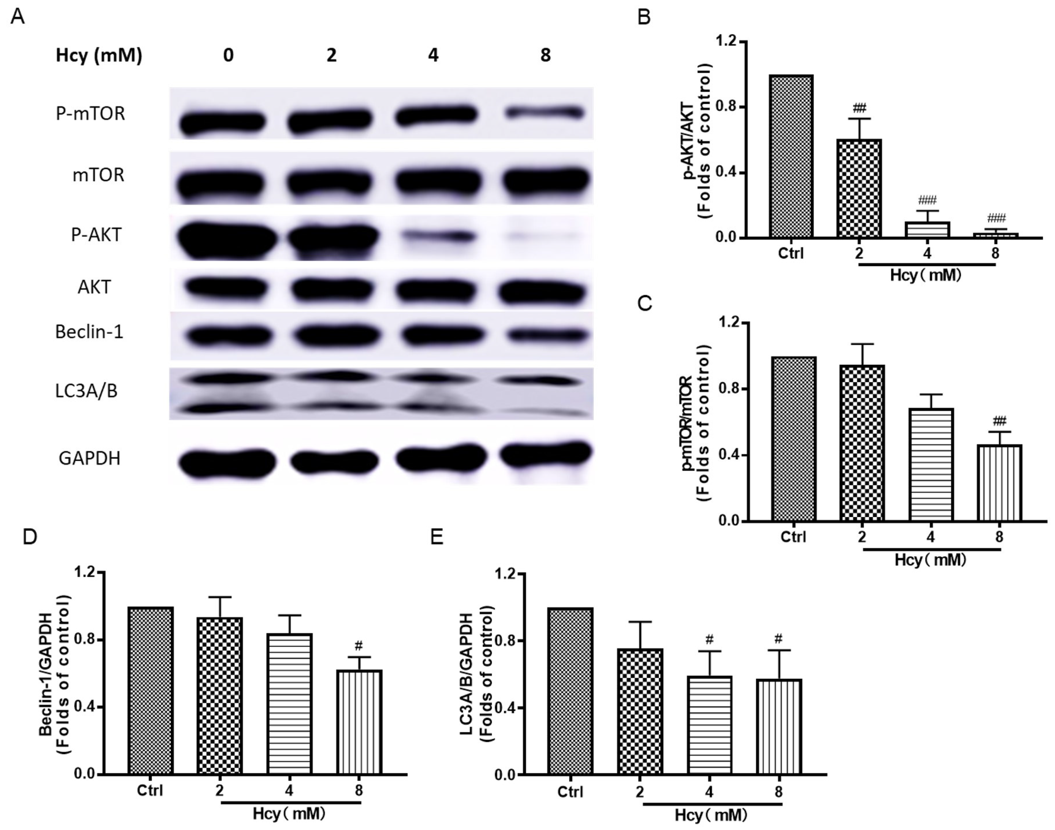 Biomedicines 12 02301 g007