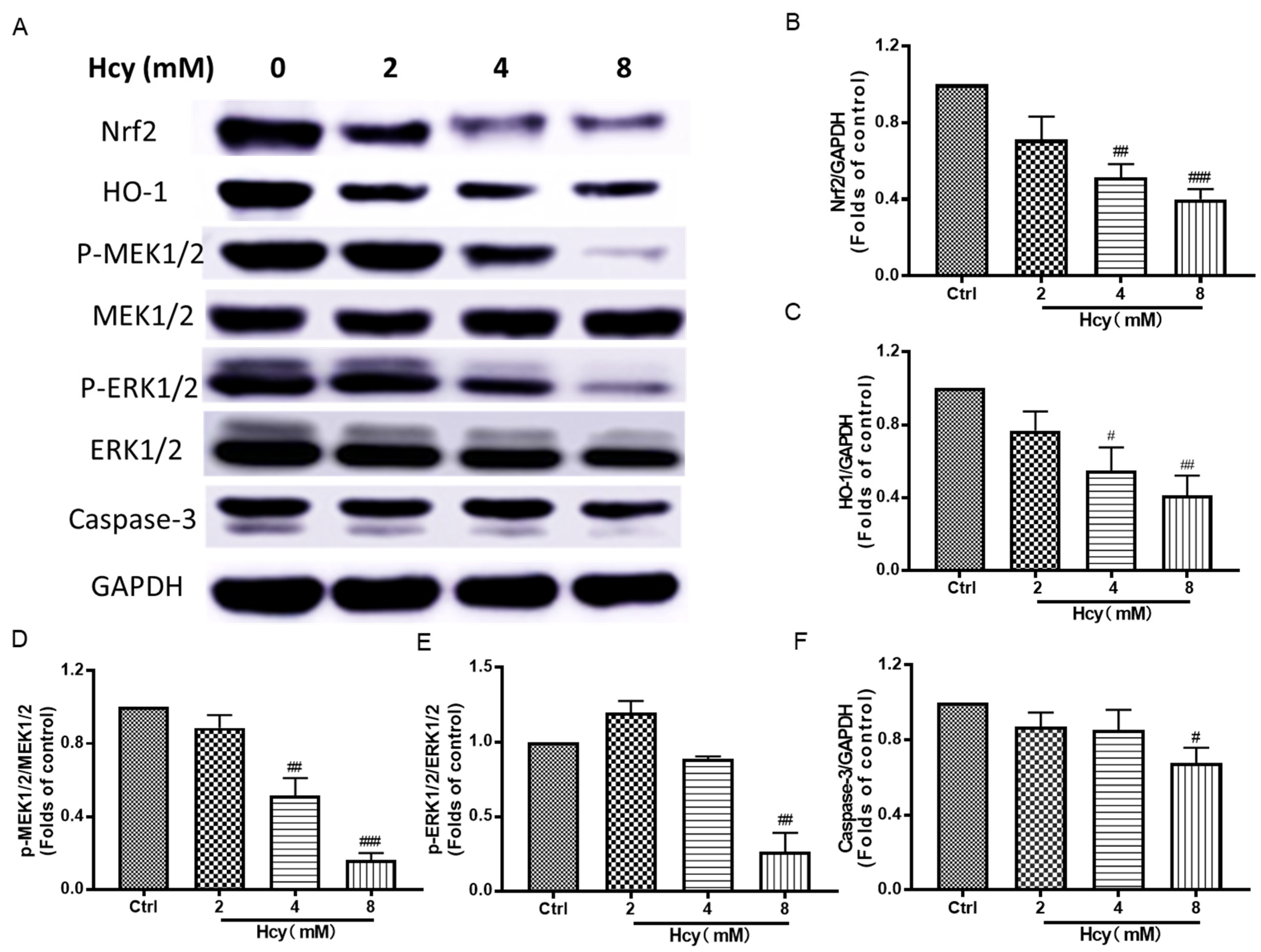 Biomedicines 12 02301 g008