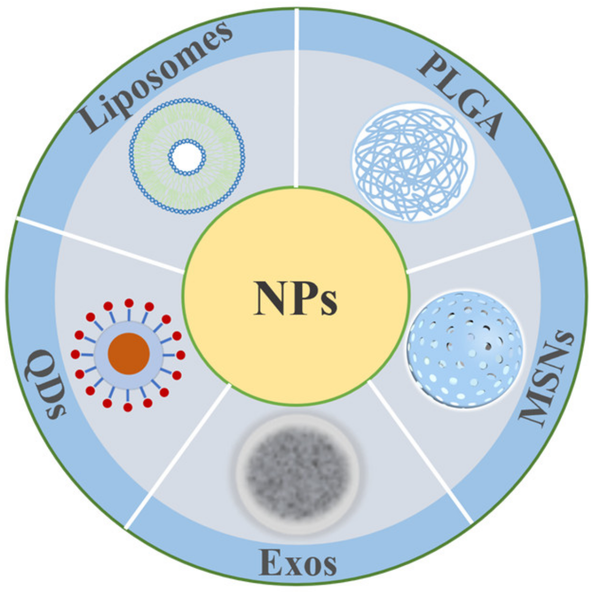 Biomedicines 12 02302 g004