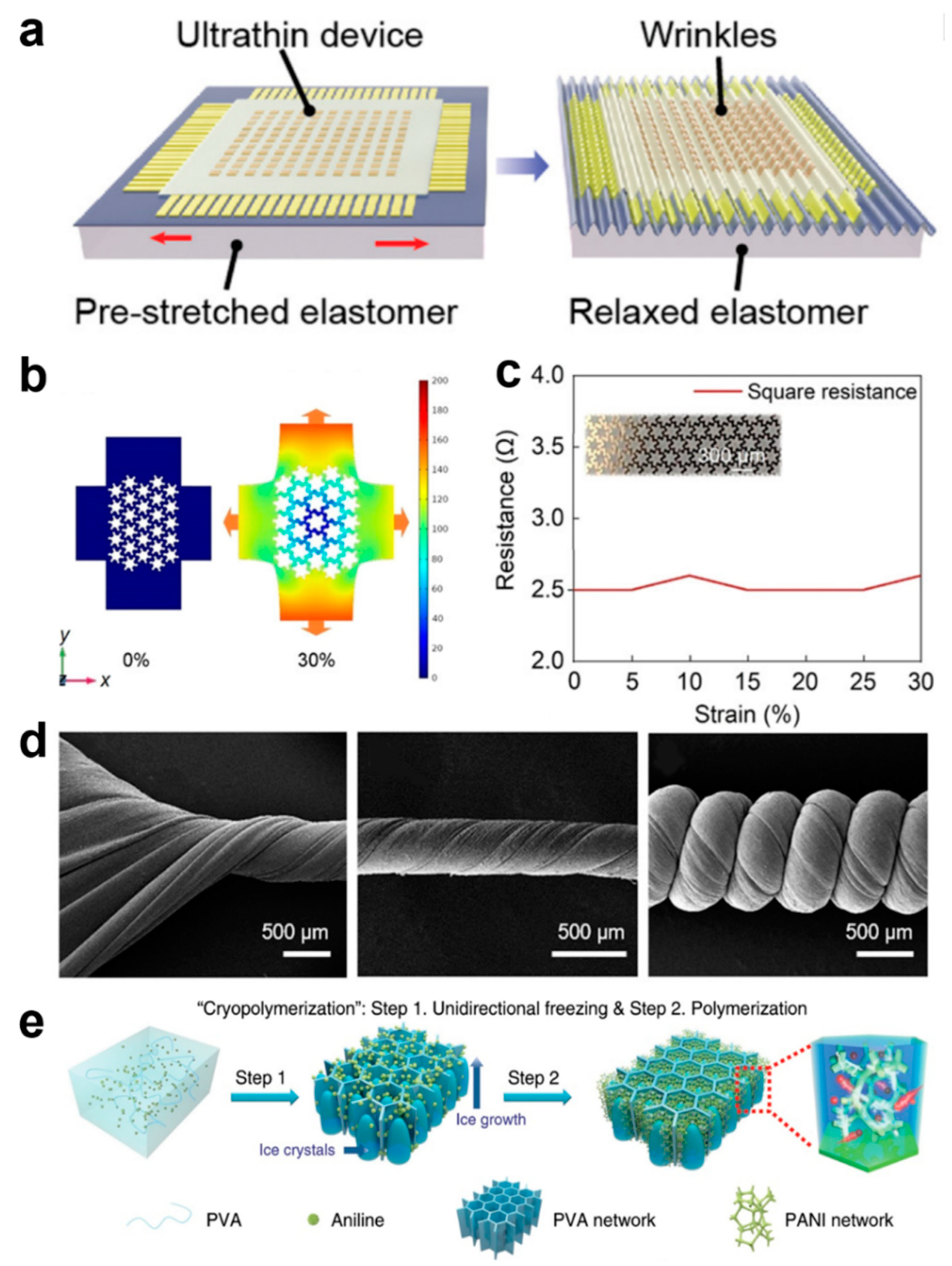 Biomedicines 12 02307 g002