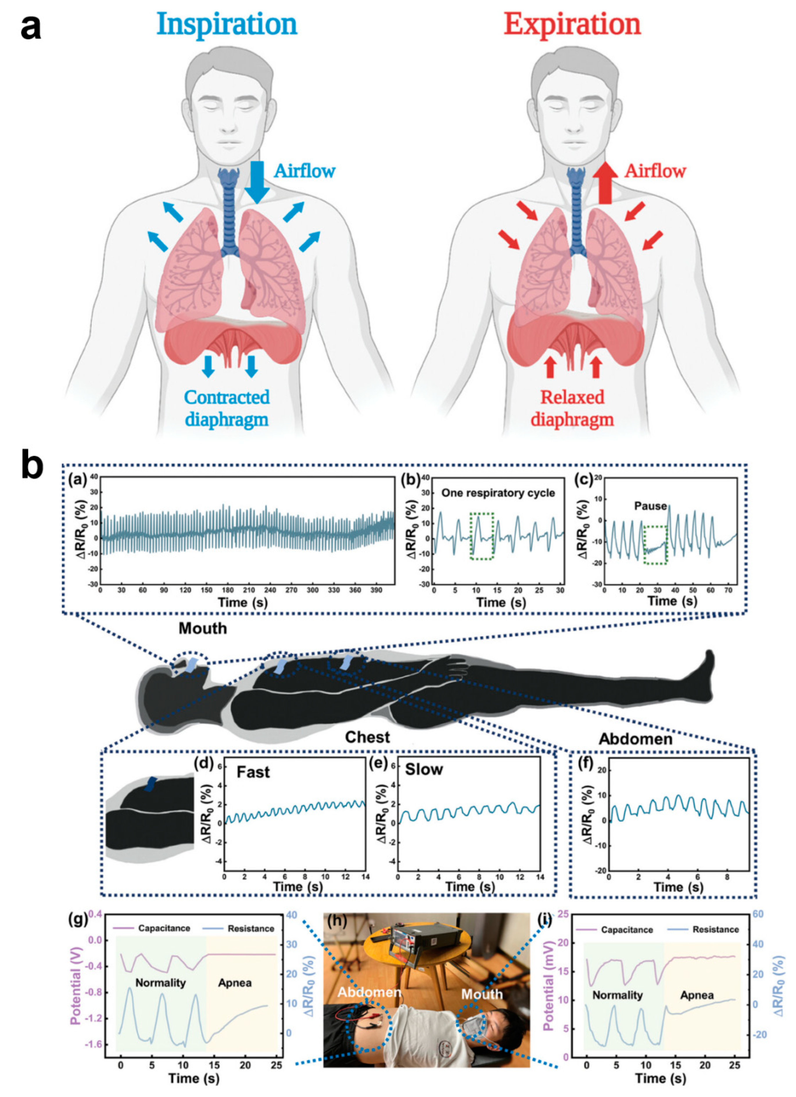 Biomedicines 12 02307 g008