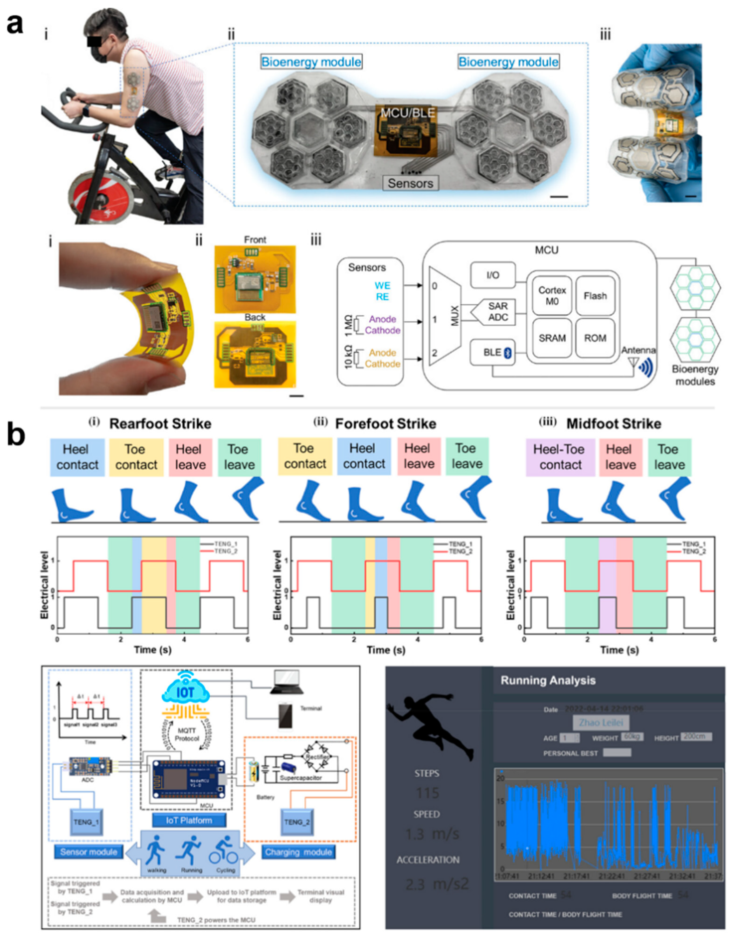 Biomedicines 12 02307 g014