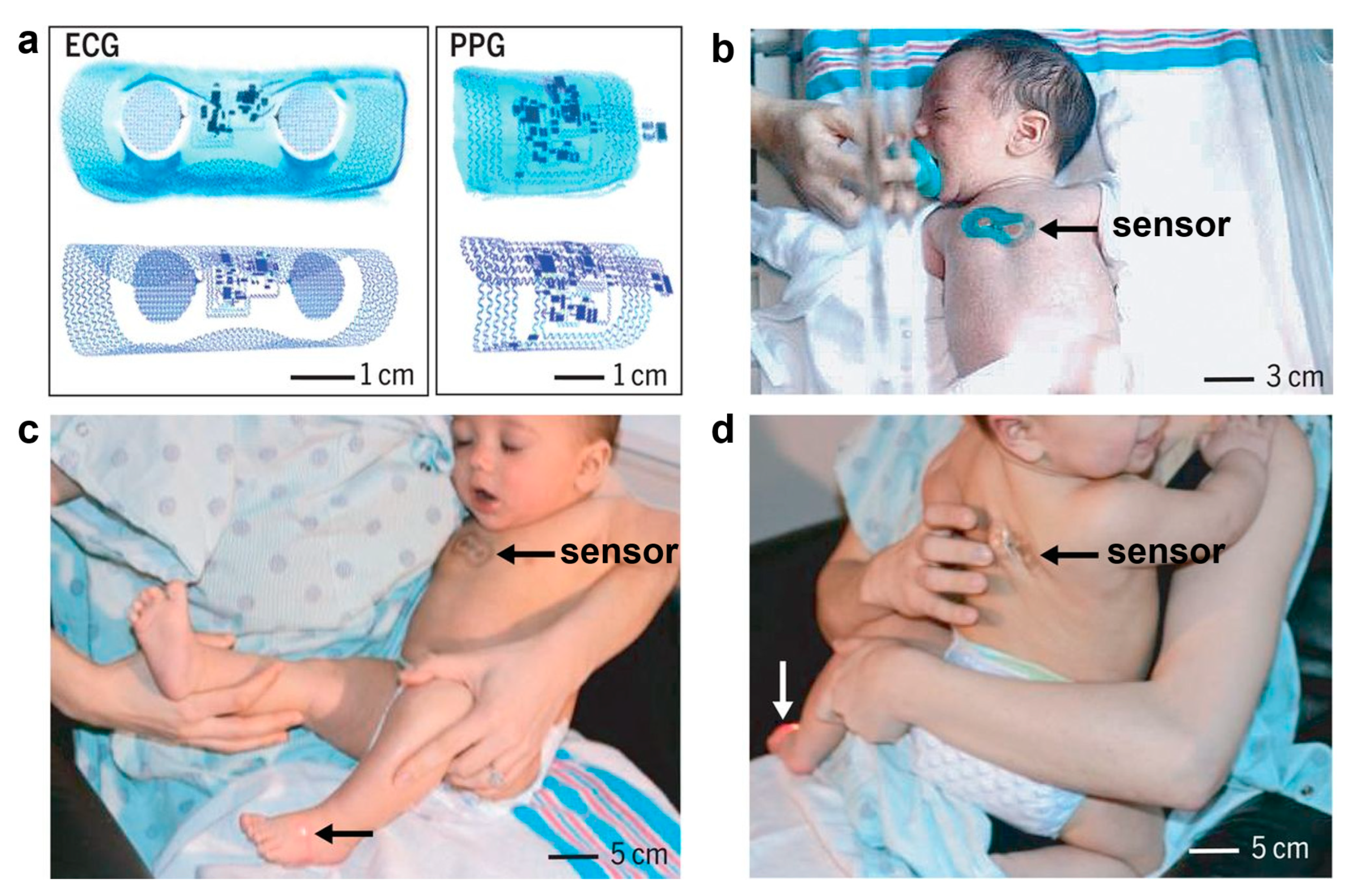 Biomedicines 12 02307 g016