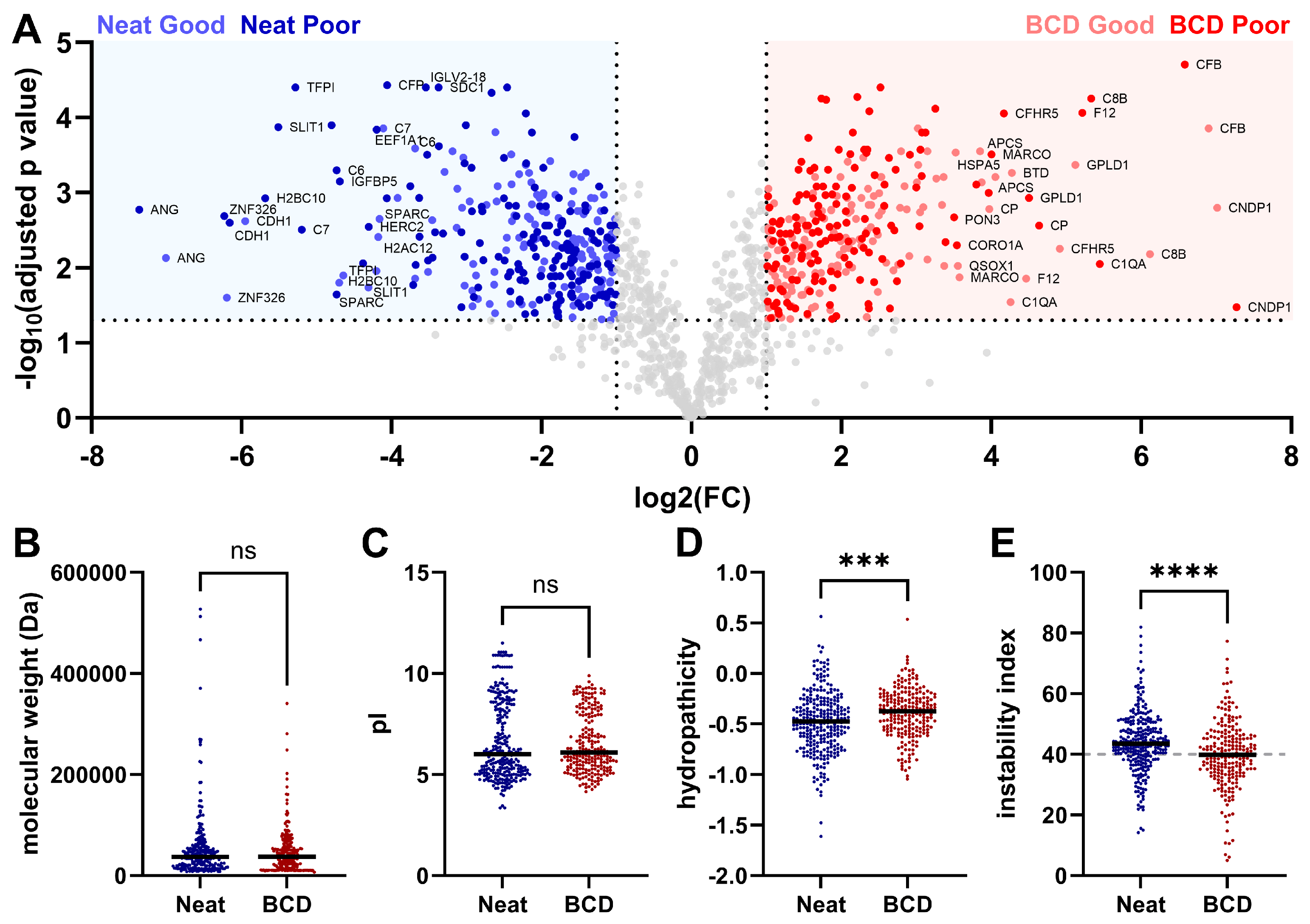 Biomedicines 12 02318 g002