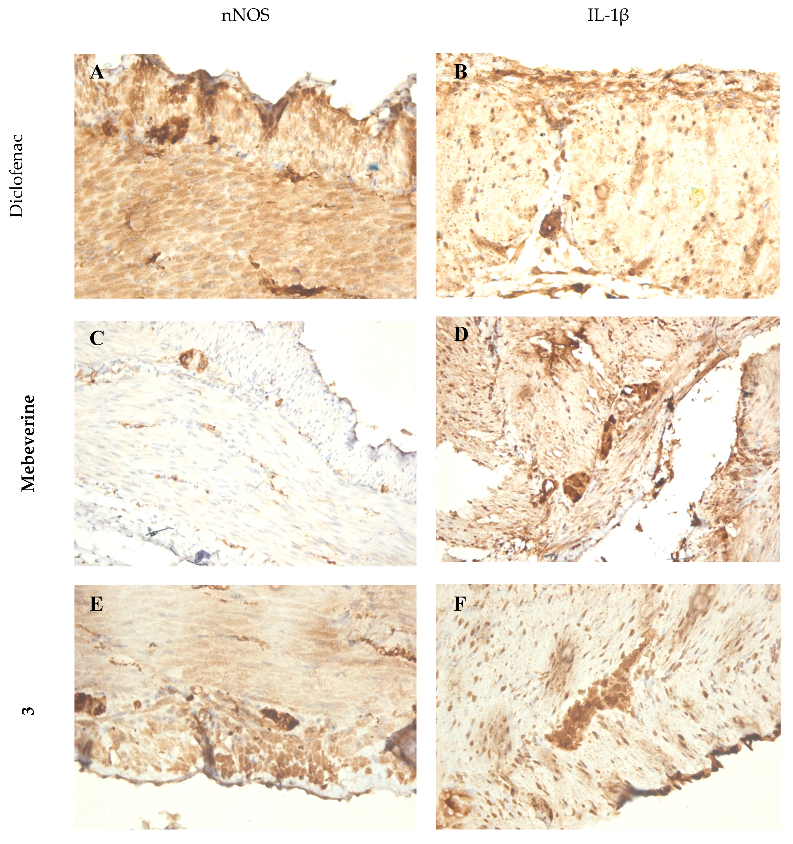 Biomedicines 12 02321 g007a
