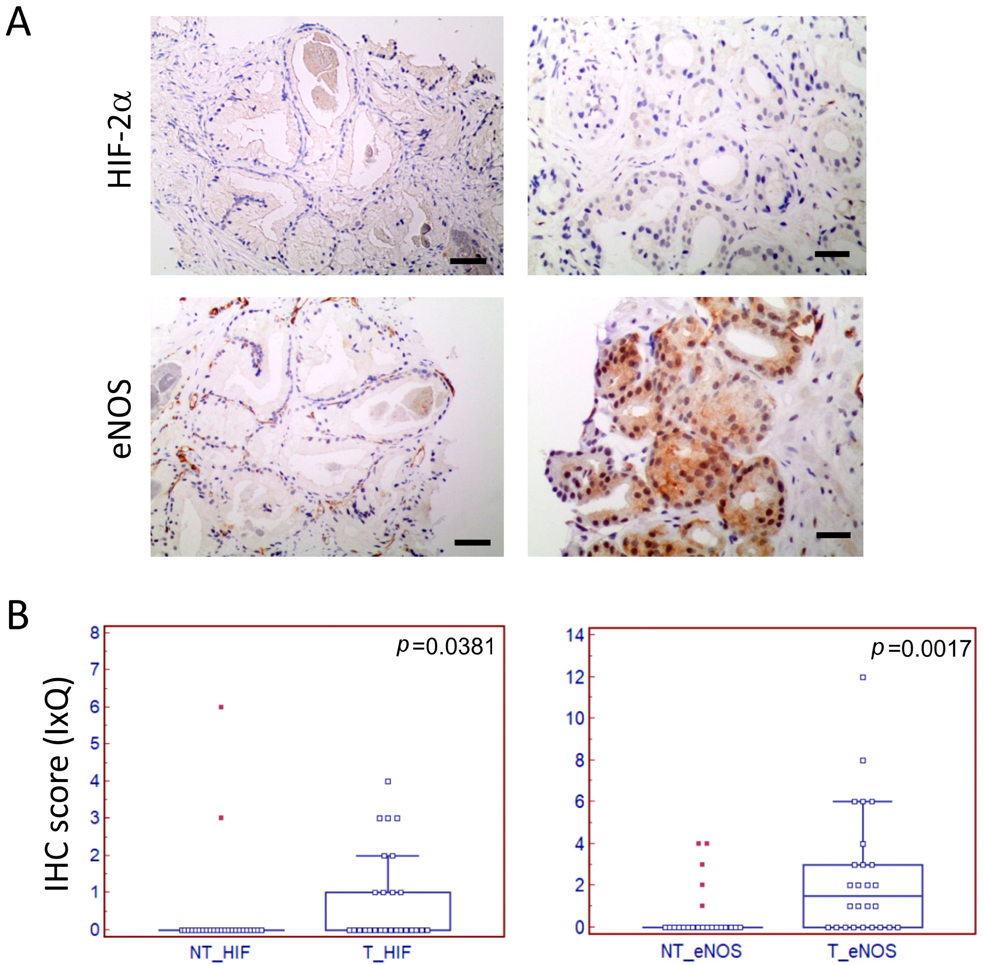 Biomedicines 12 02322 g001 Biomedicines 12 02322 g001