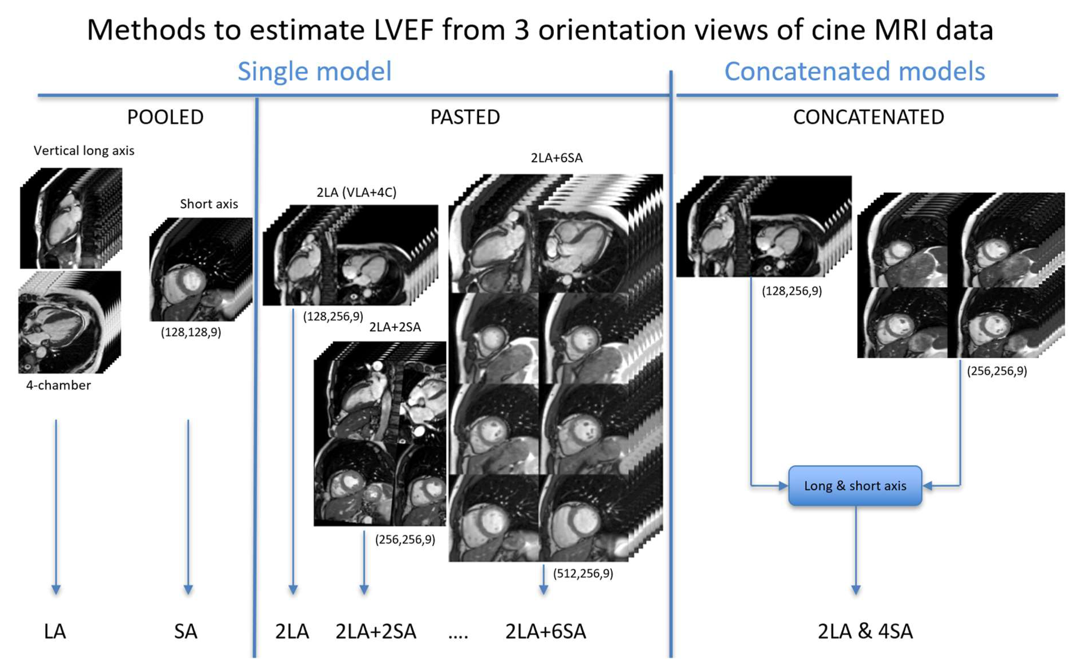 Biomedicines 12 02324 g003