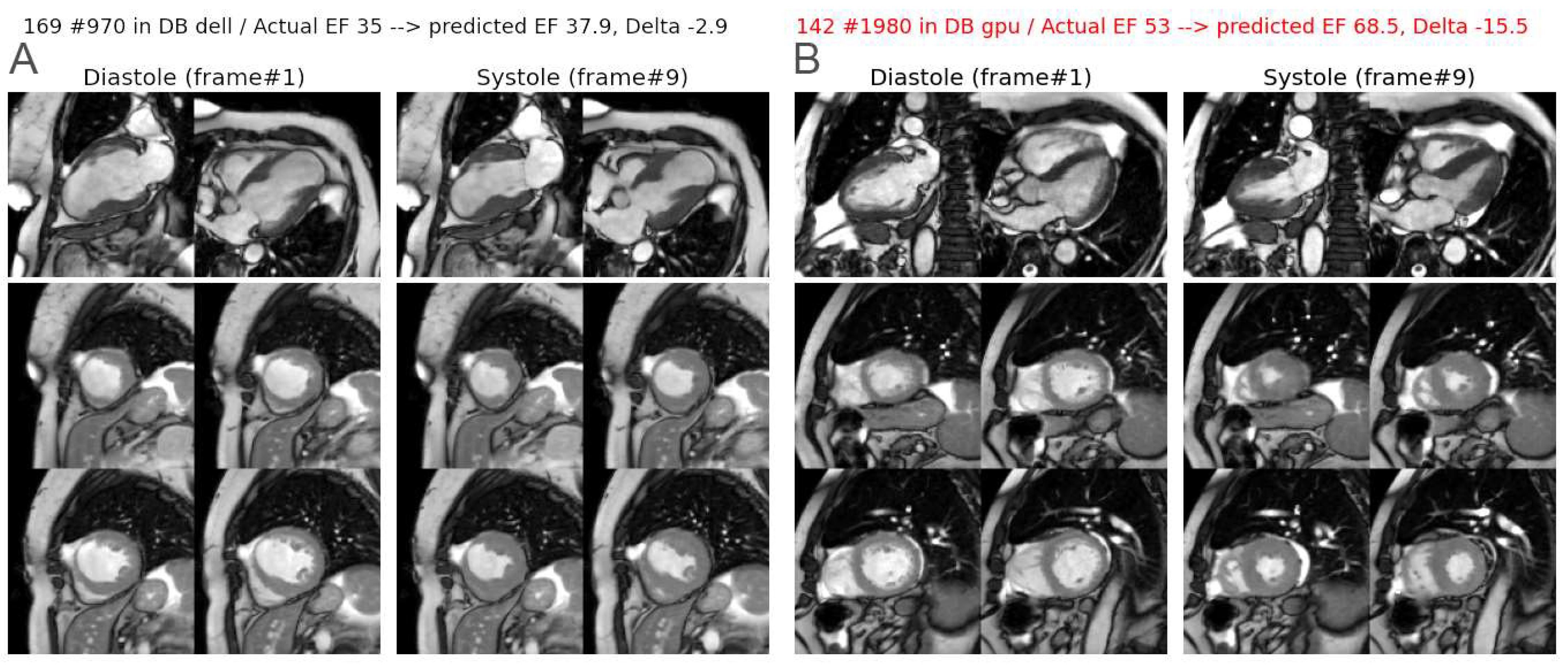 Biomedicines 12 02324 g006